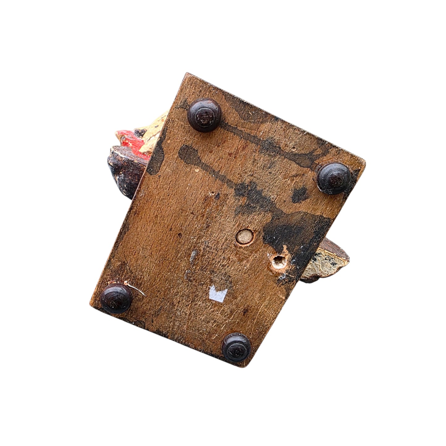 A Striking 18th Century Italian Antique Memento Mori Bust – Life & Death Duality Wooden Carved Sculpture on an Ebonised Plinth