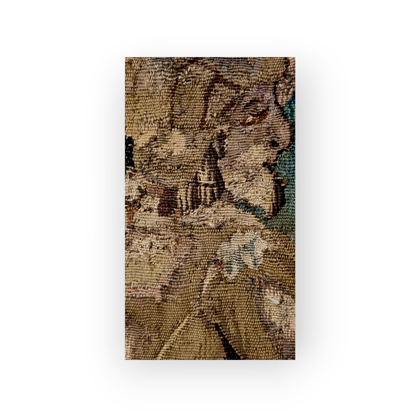 A Large 17th Century Flemish Antique Verdure Tapestry Fragment Depicting A Huntsman With Dogs And A Bear