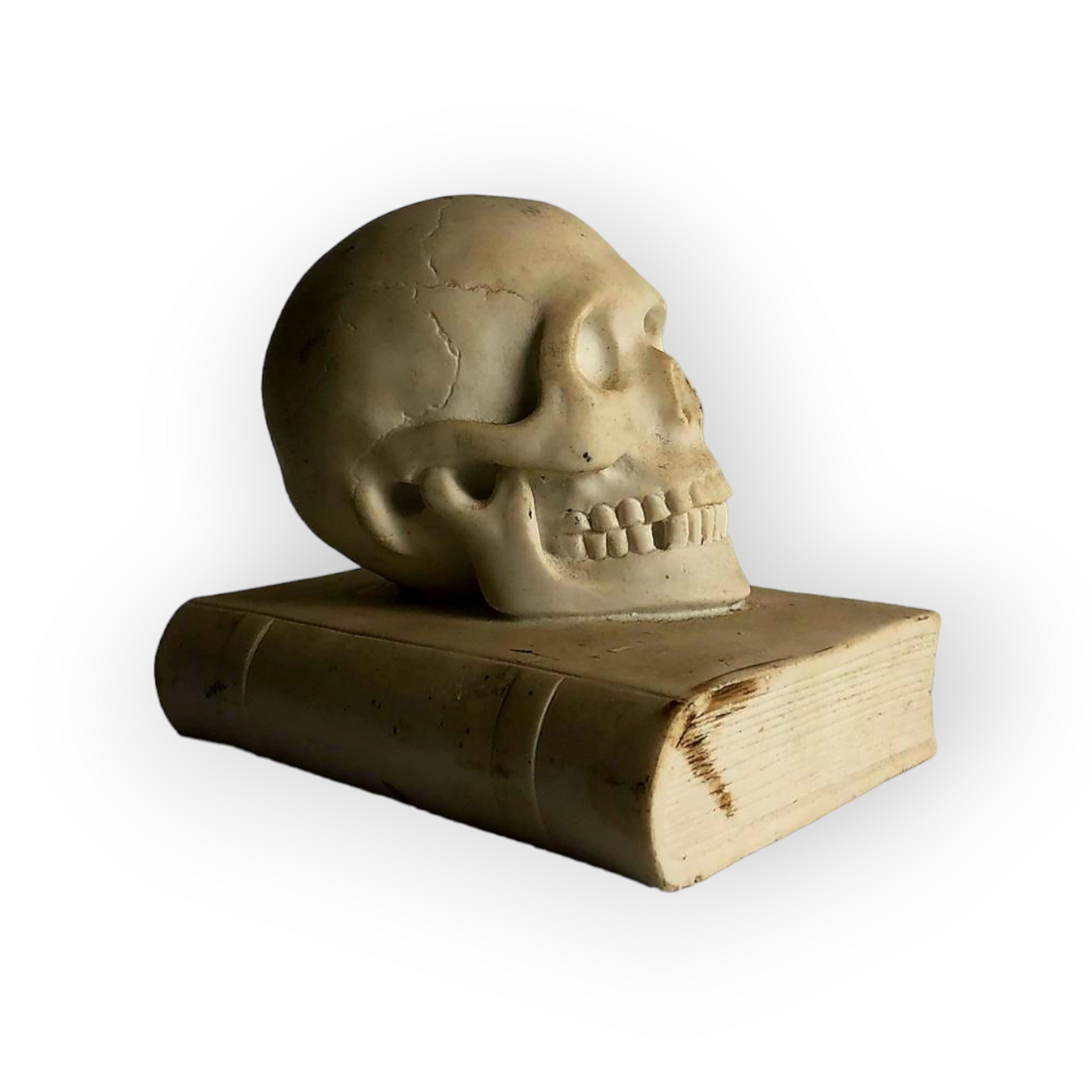 19th Century Italian Antique Marble Memento Mori