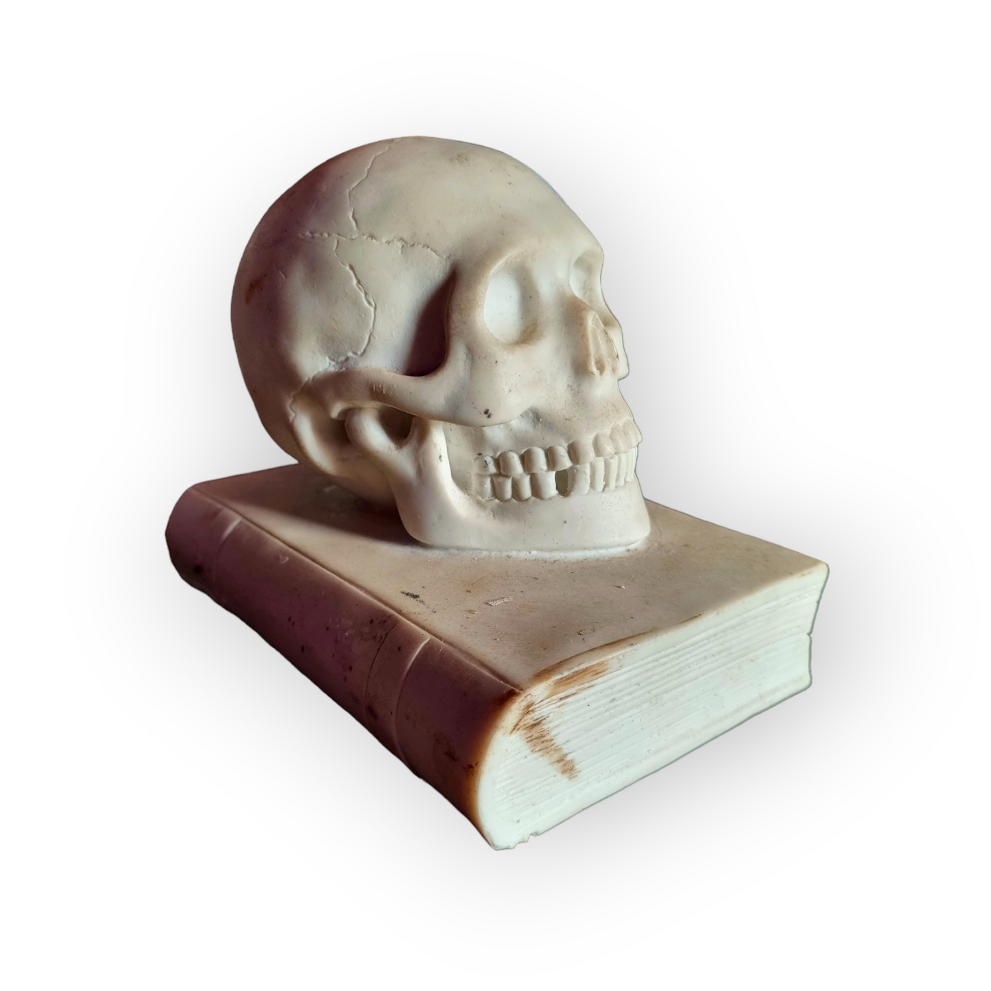 19th Century Italian Antique Marble Memento Mori