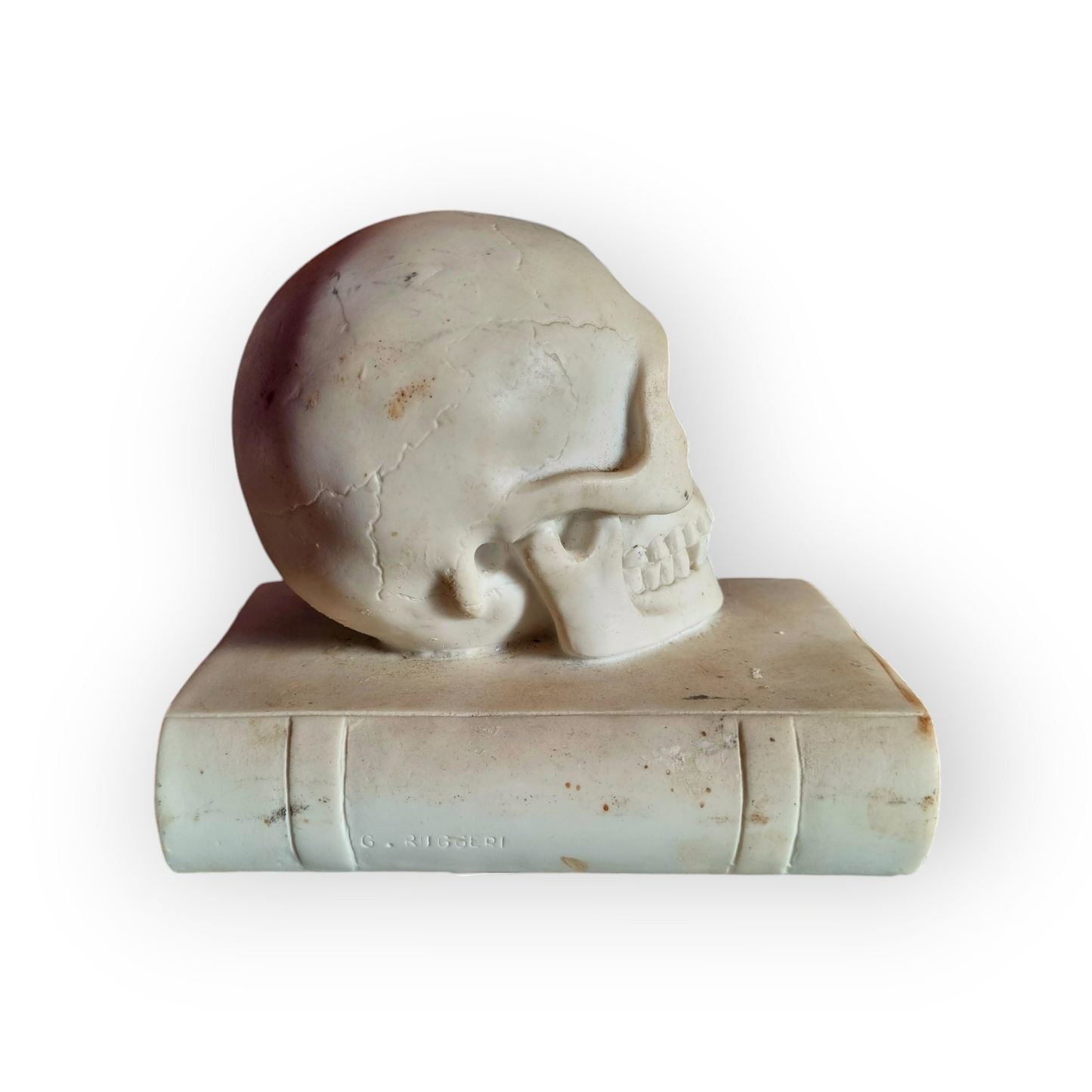 19th Century Italian Antique Marble Memento Mori