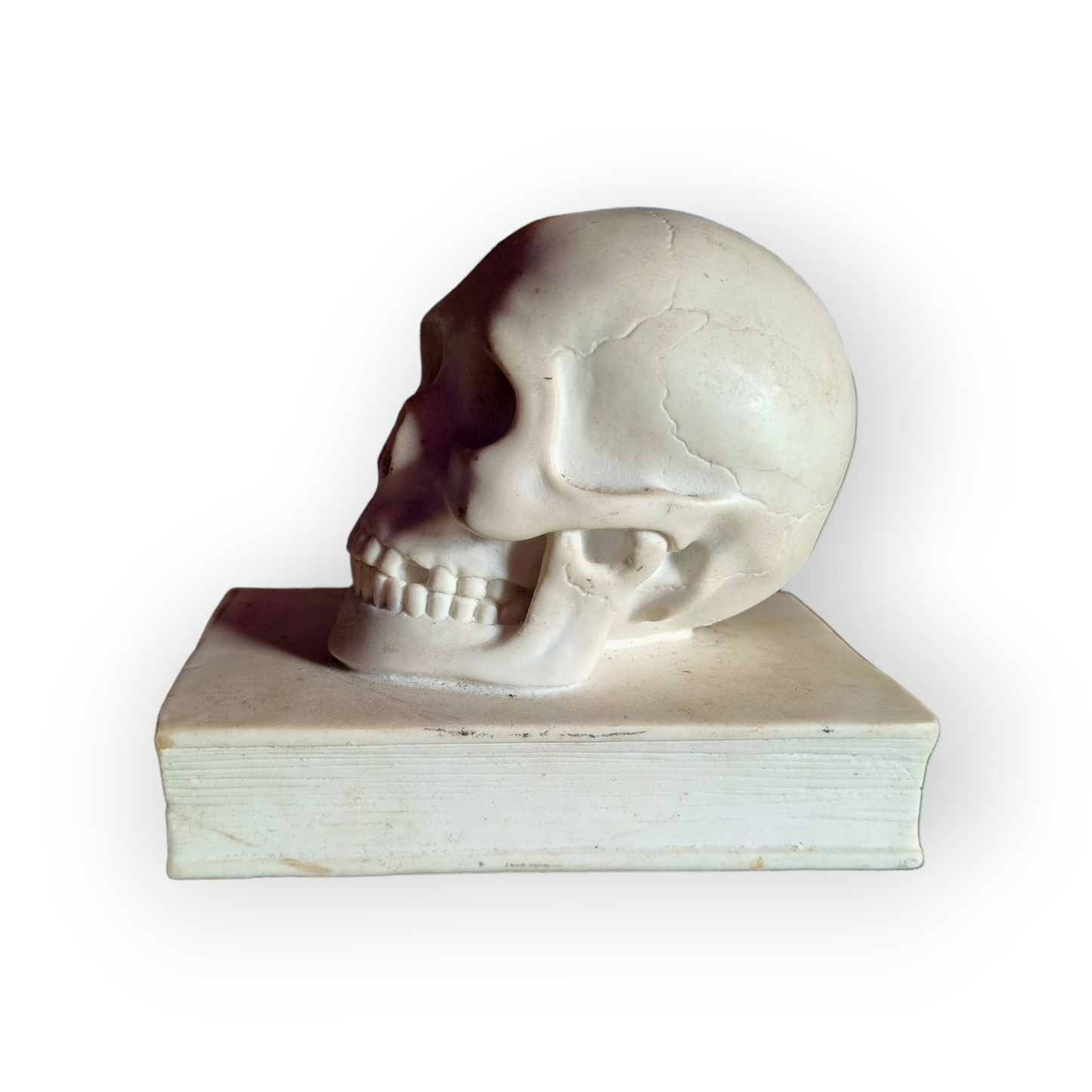 19th Century Italian Antique Marble Memento Mori