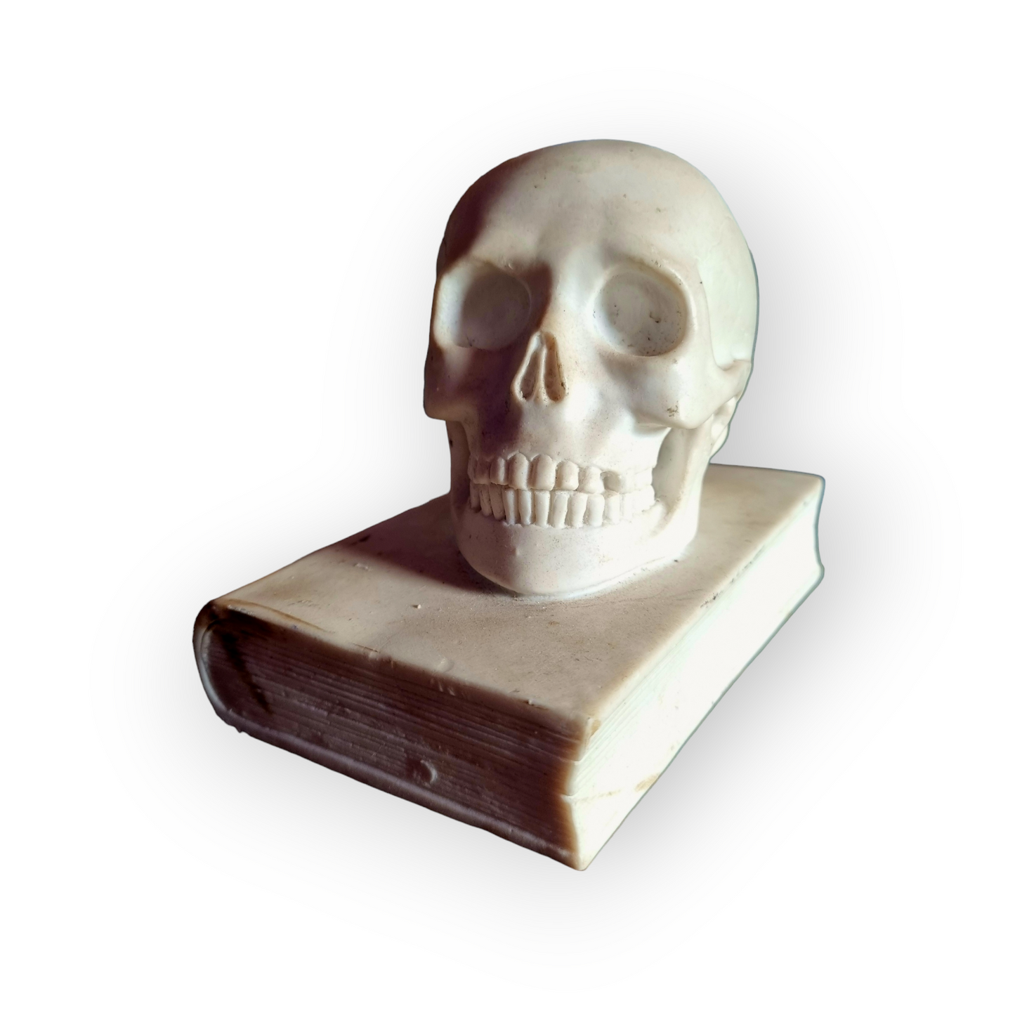 19th Century Italian Antique Marble Memento Mori