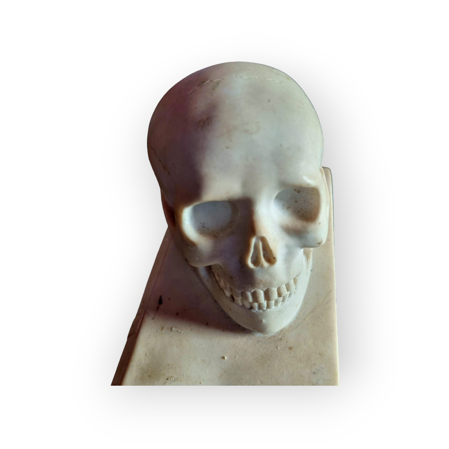 19th Century Italian Antique Marble Memento Mori