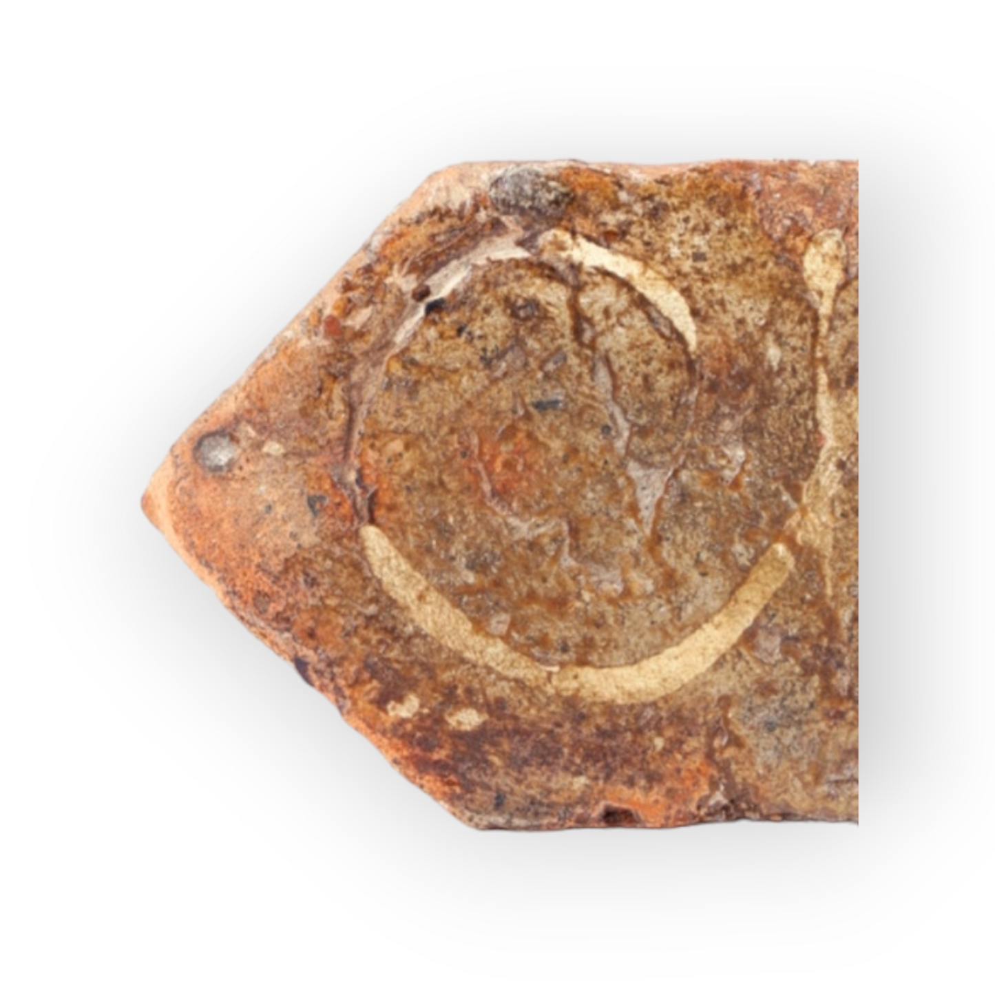 14th Century / Medieval Period English Antique Encaustic Floor Tile