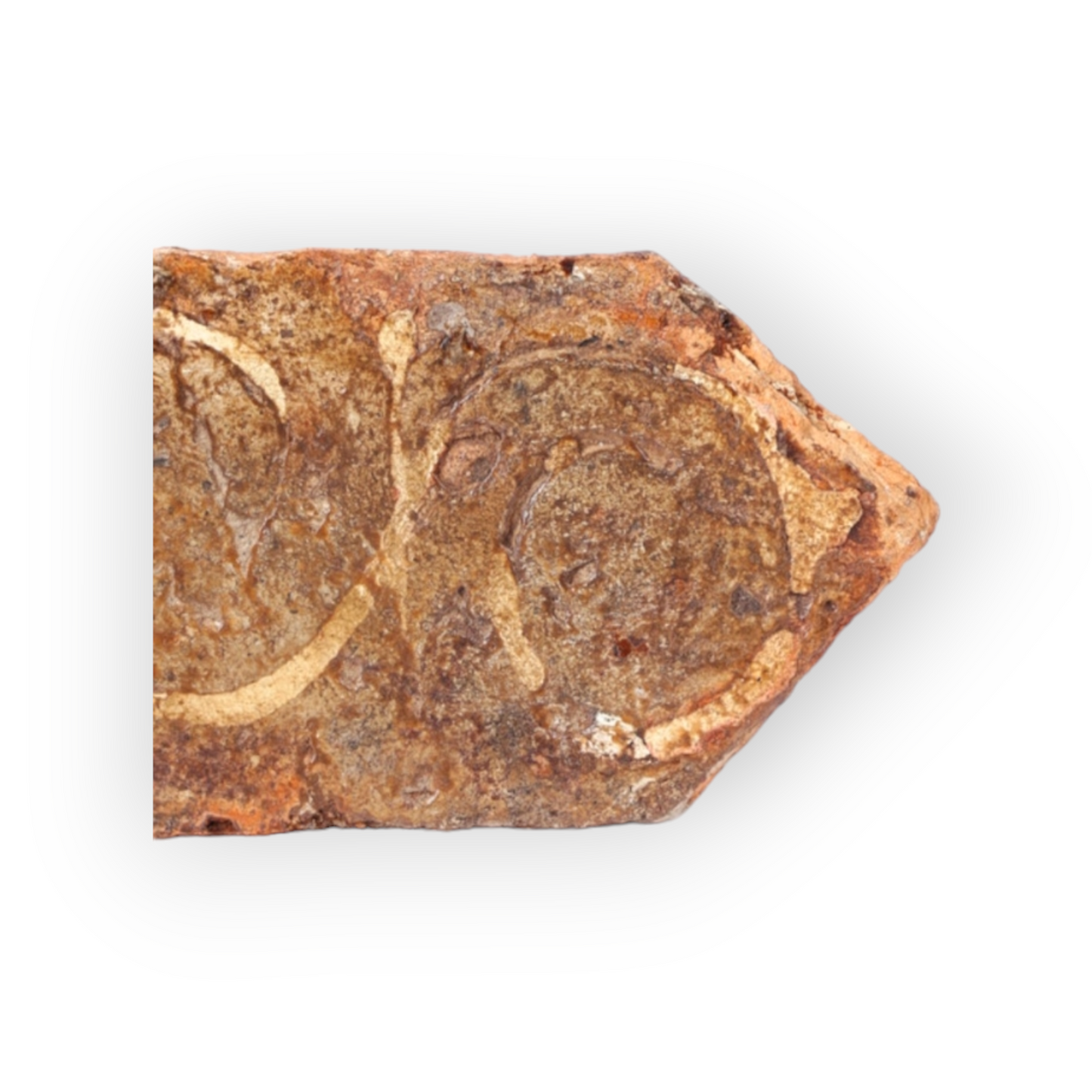 14th Century / Medieval Period English Antique Encaustic Floor Tile