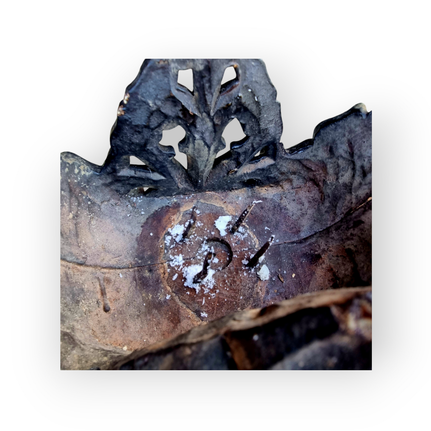 A Fine, Large & Impressive Pair Of 19th Century English Antique Gothic Revival Poppy Finial Carved Wood Candleholders