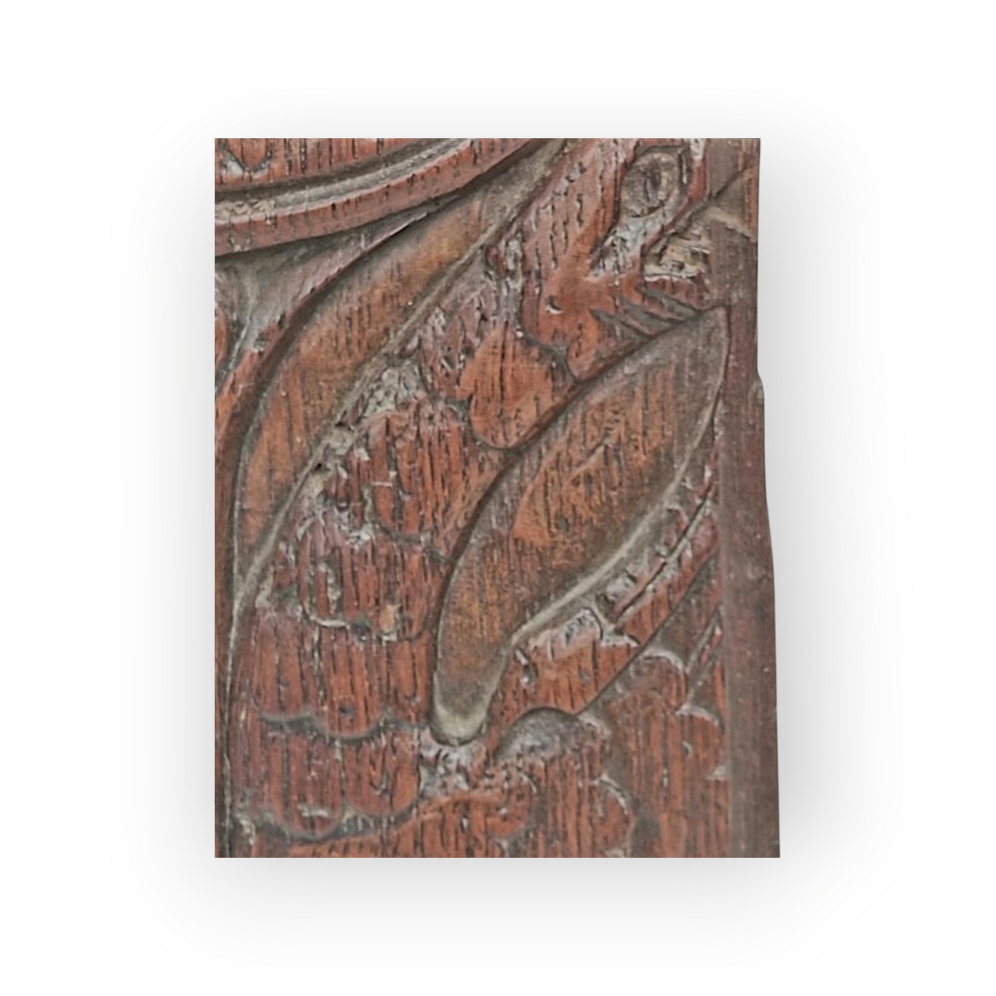 Mid 16th-Century French Antique Carved Oak Romayne Portrait Panel