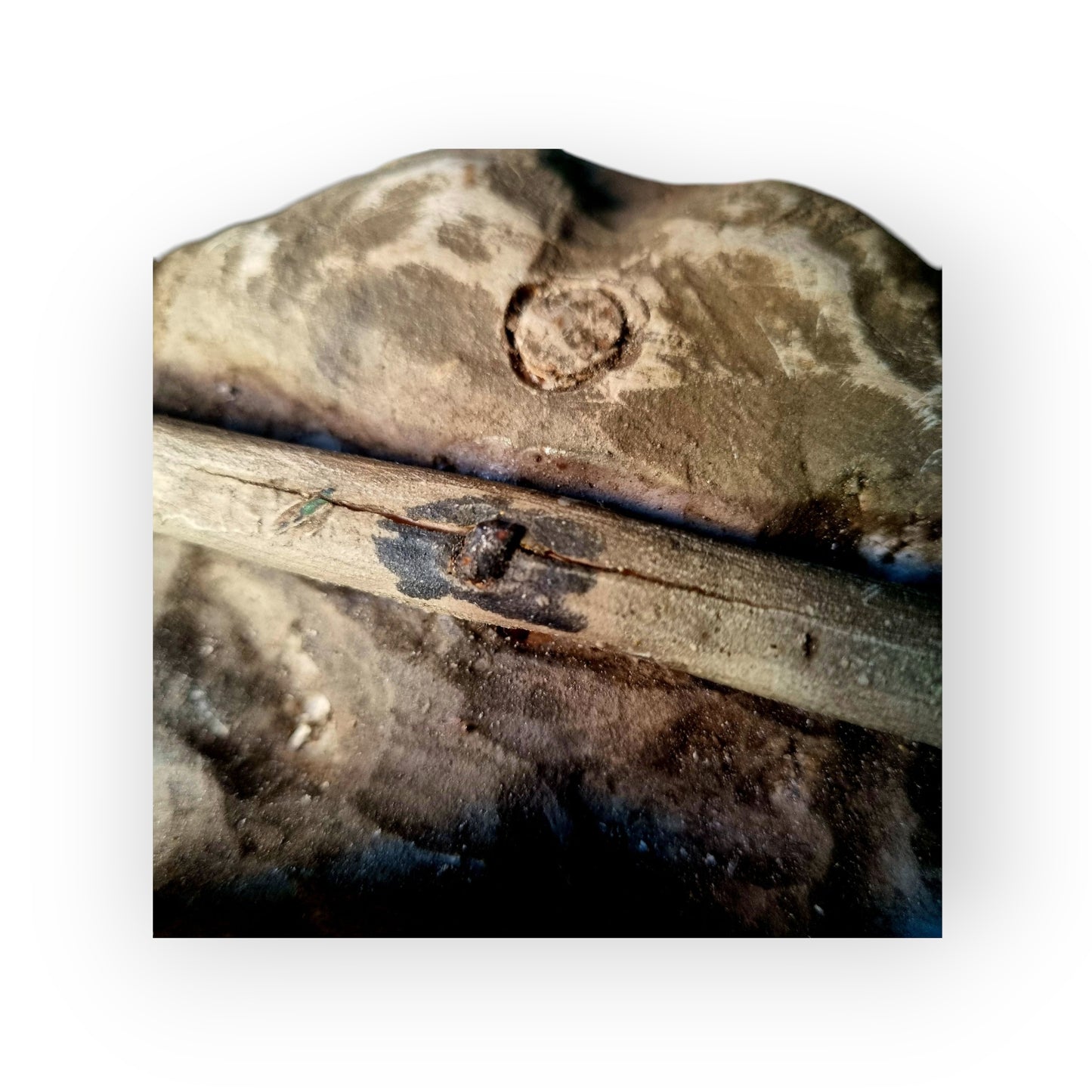 18th-Century Baroque Antique Carved Wooden Memento Mori In The Form Of A Human Skull With A Death Crown