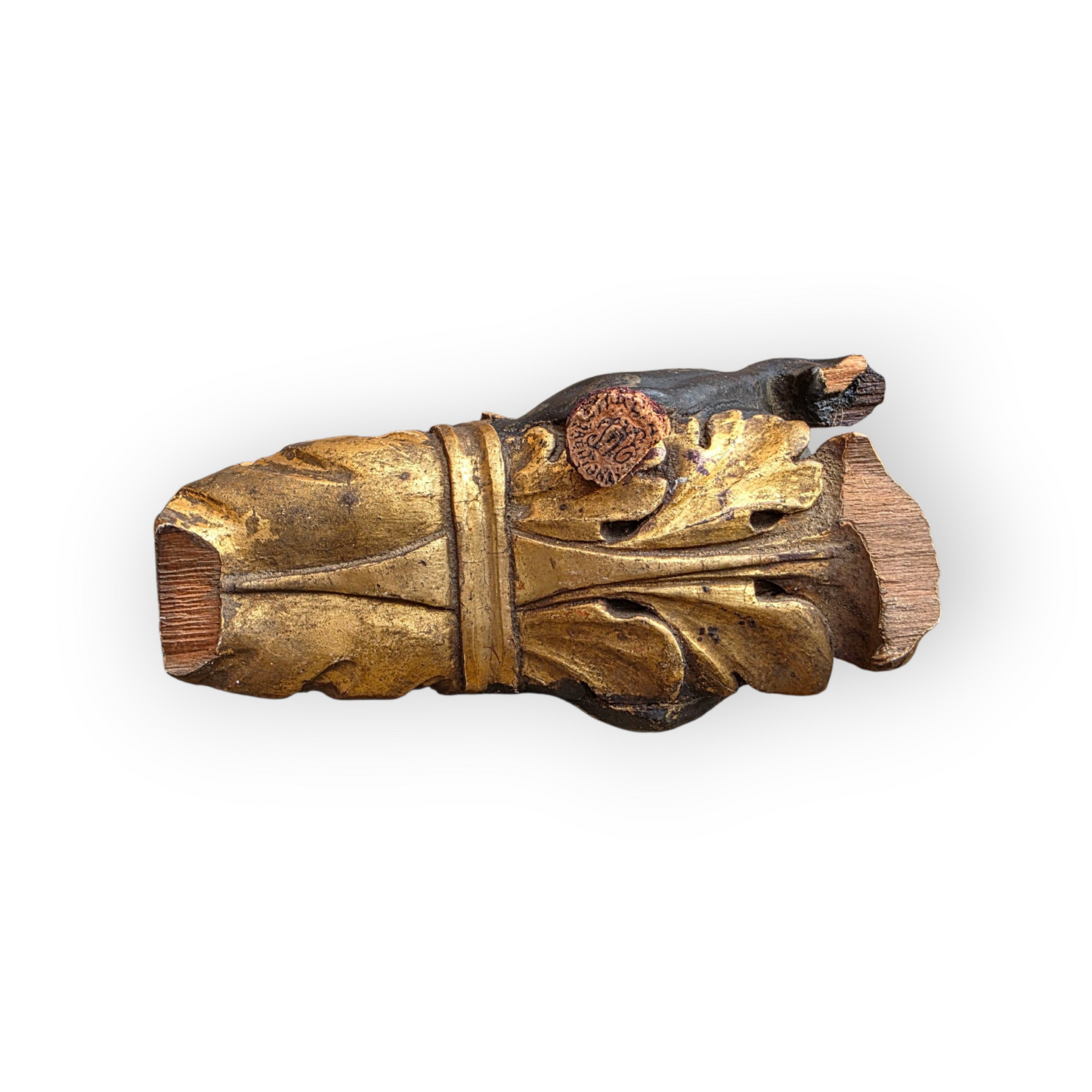 18th-Century Italian Antique Carved Wooden Horse’s Head Fragment, Salvaged from a Venetian Gondola