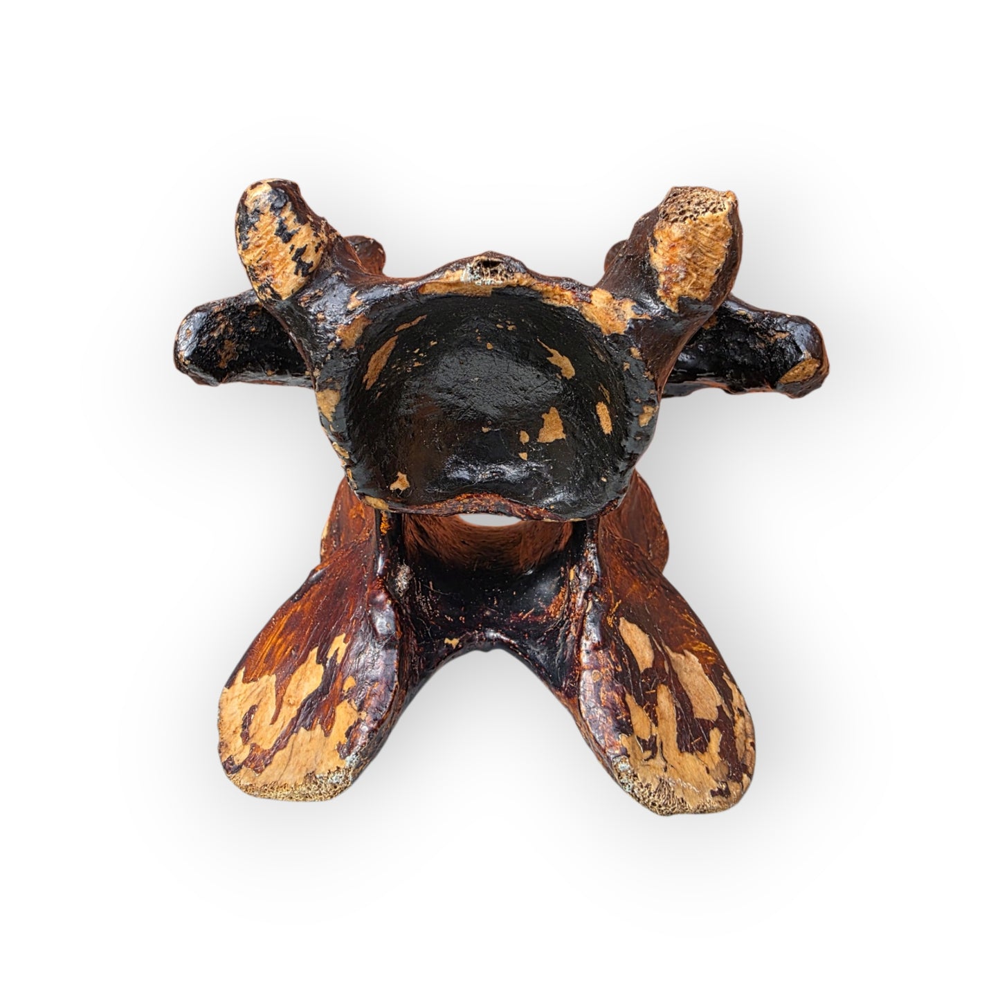 A Rare Early 19th Century English Folk Art "Wesley Bone" — A Horse Vertebra Painted as John Wesley Preaching