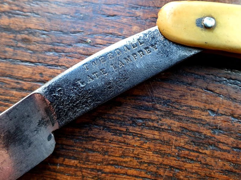 19th Antique Straight Razor or Cut Throat Razor With Scrimshaw Decorated Bone Handle
