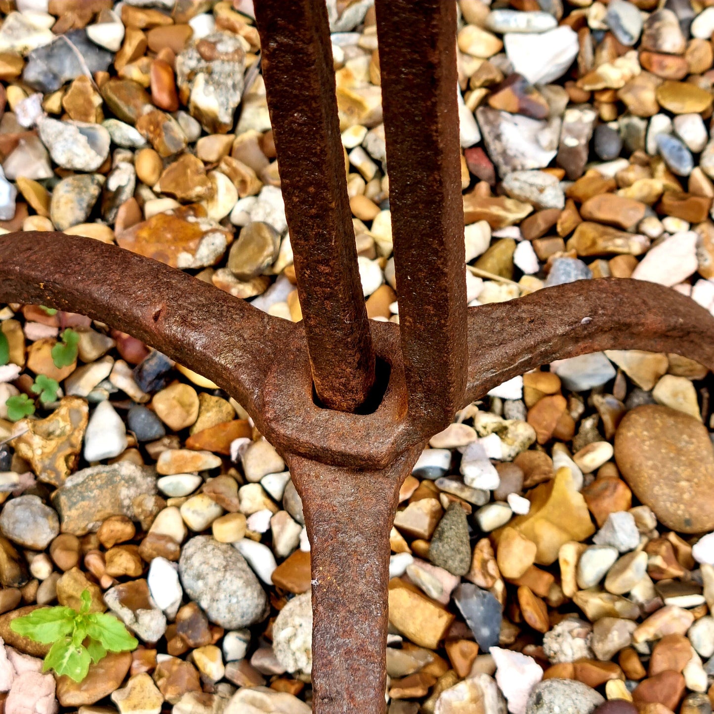 Early 18th Century Irish Antique Wrought Iron Corner Standard Rushlight or rushnip With Candleholder