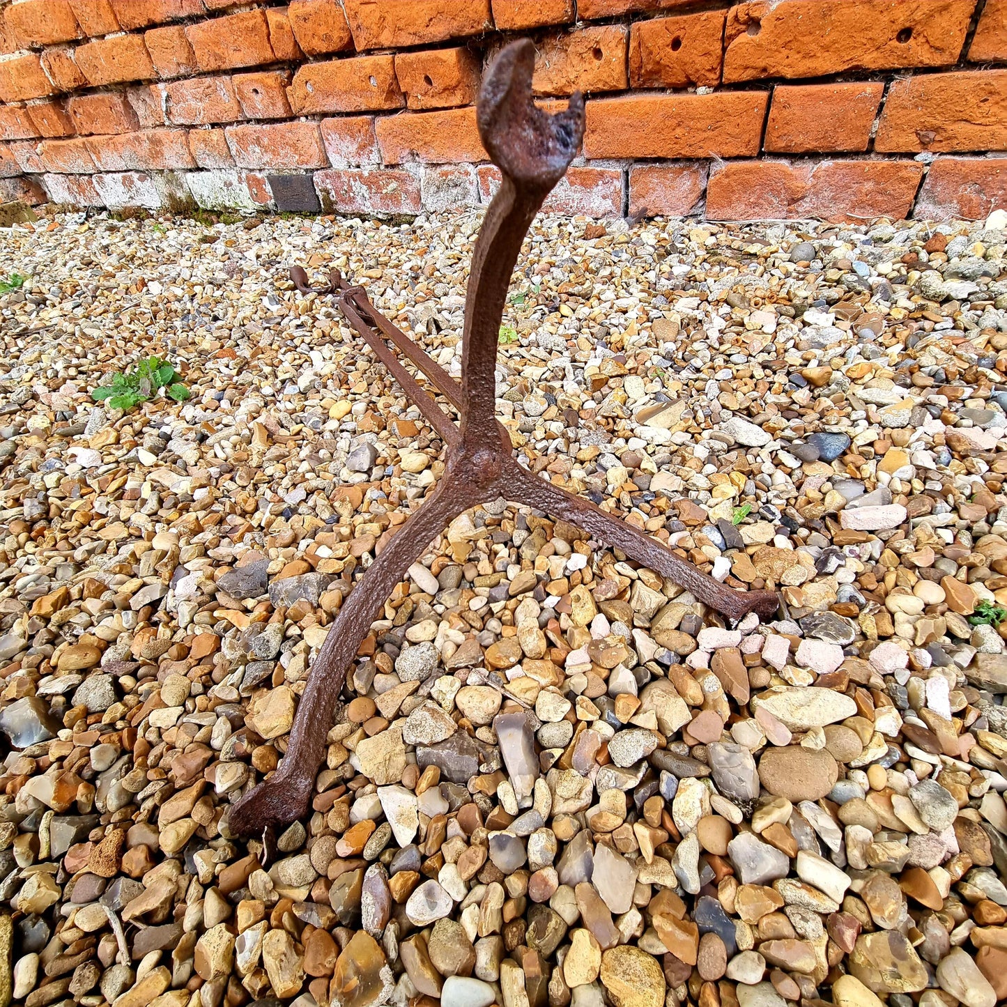 Early 18th Century Irish Antique Wrought Iron Corner Standard Rushlight or rushnip With Candleholder