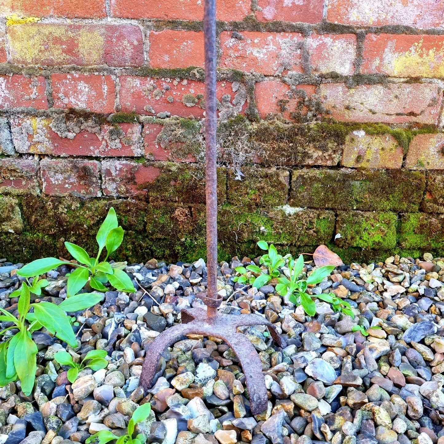 18th Century Antique Wrought Iron Standing Rushlight Attributed to Wales or English Borders