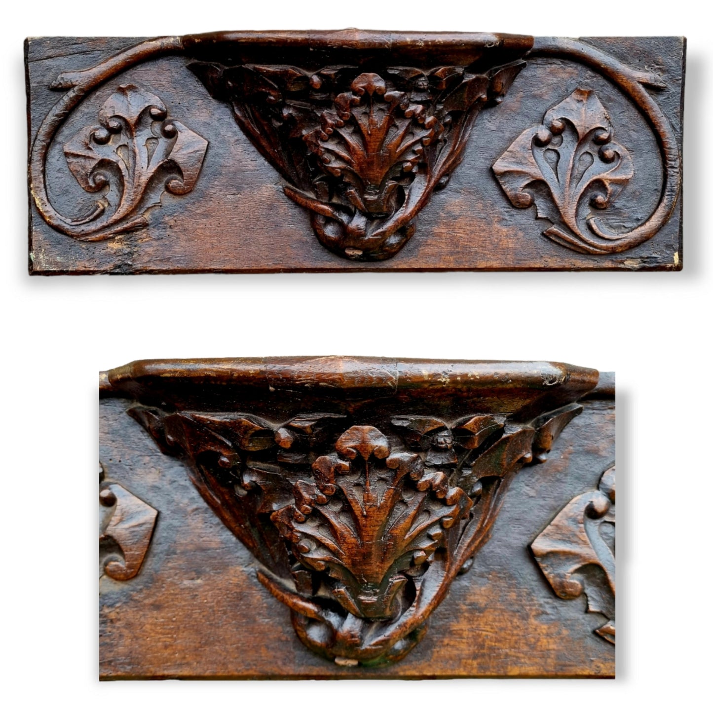 Rare 15th Century English Antique Carved Oak Misericord