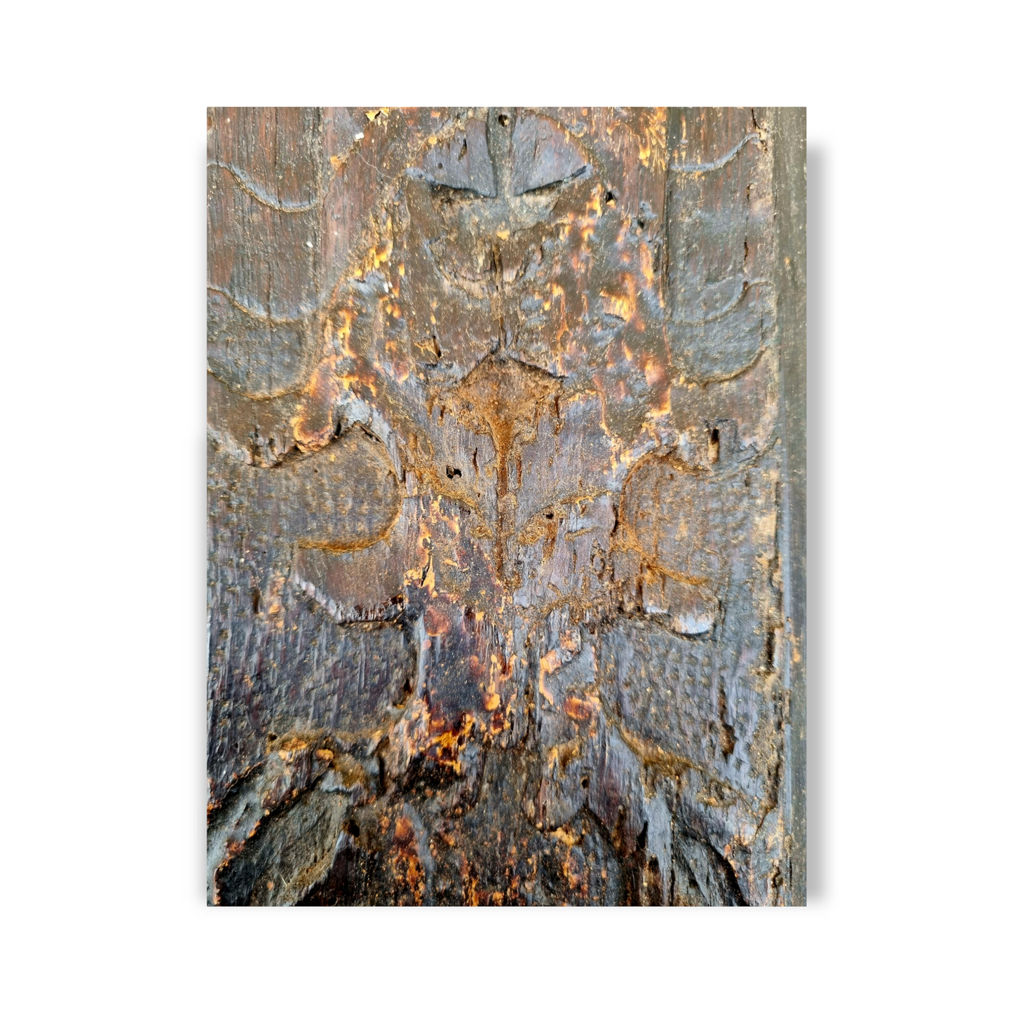 Late 16th Century Carved Oak Figural Panel – Female Portrait Above Foliate Plinth