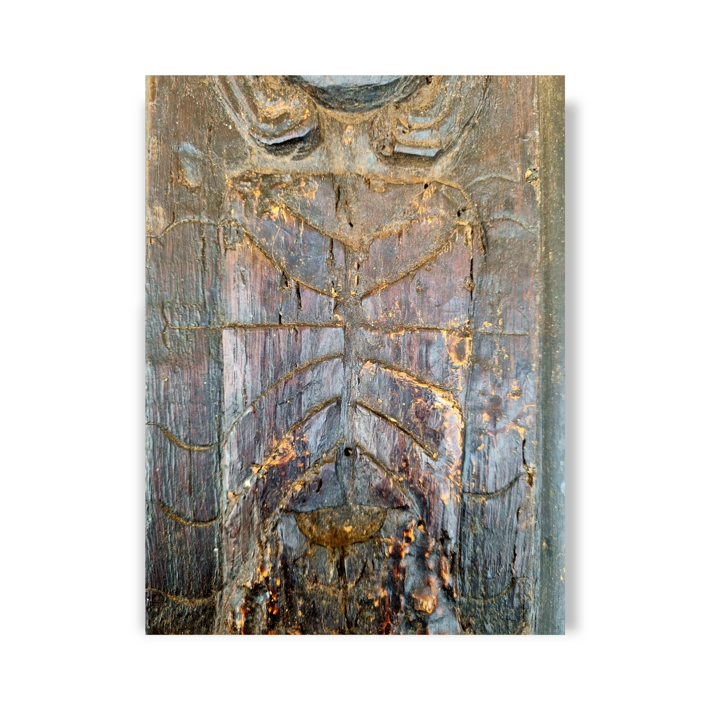 Late 16th Century Carved Oak Figural Panel – Female Portrait Above Foliate Plinth