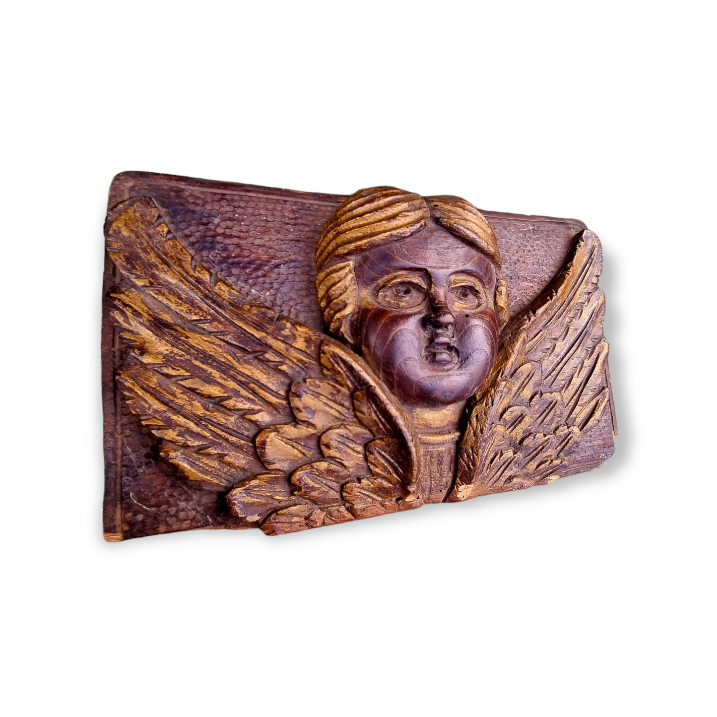 Mid 16th Century Italian Antique Carved Oak Panel In The Form Of A Winged Cherub or Putto