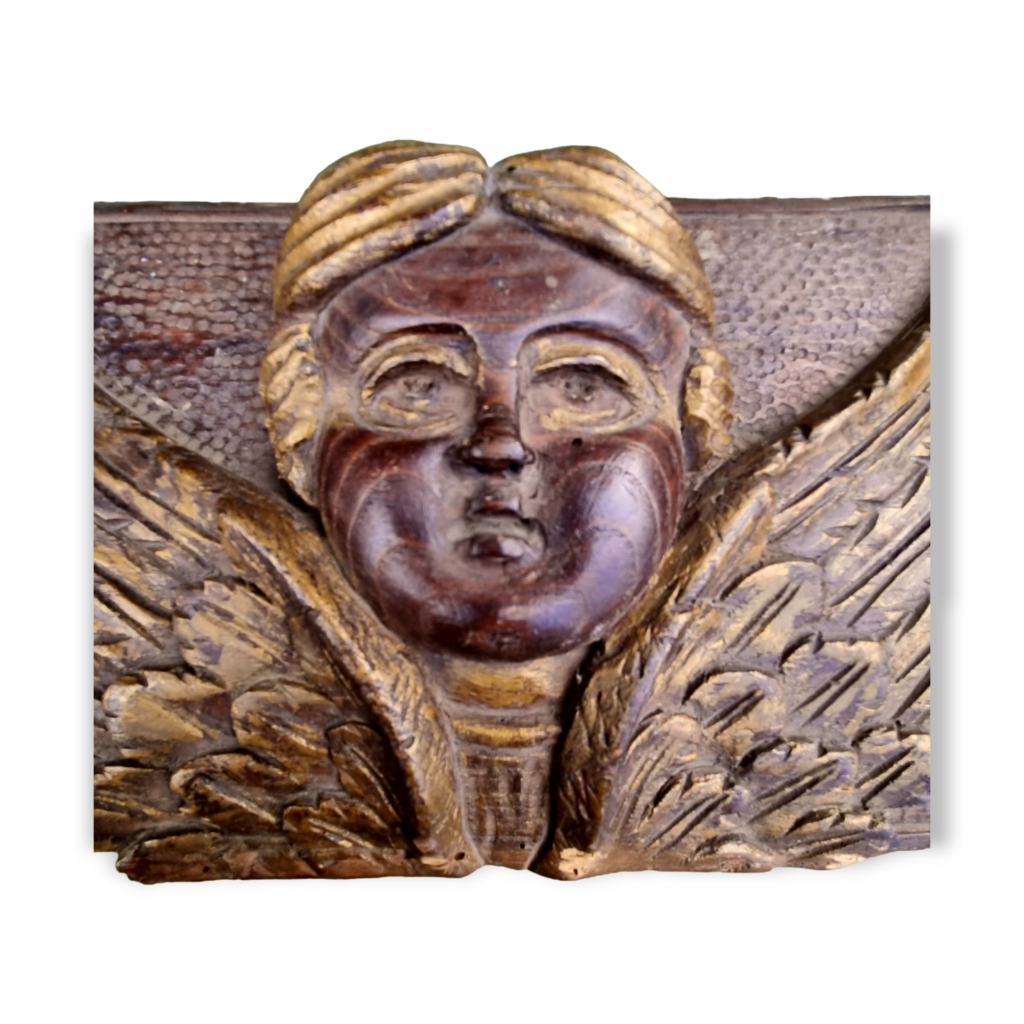 Mid 16th Century Italian Antique Carved Oak Panel In The Form Of A Winged Cherub or Putto