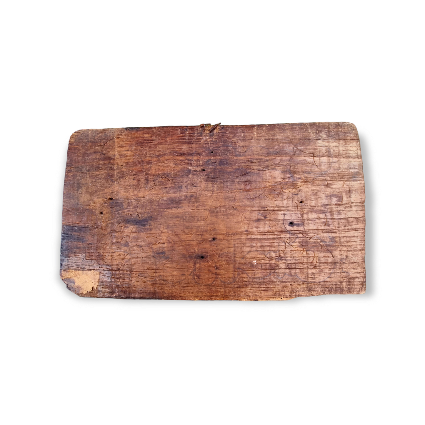 Mid 16th Century Italian Antique Carved Oak Panel In The Form Of A Winged Cherub or Putto