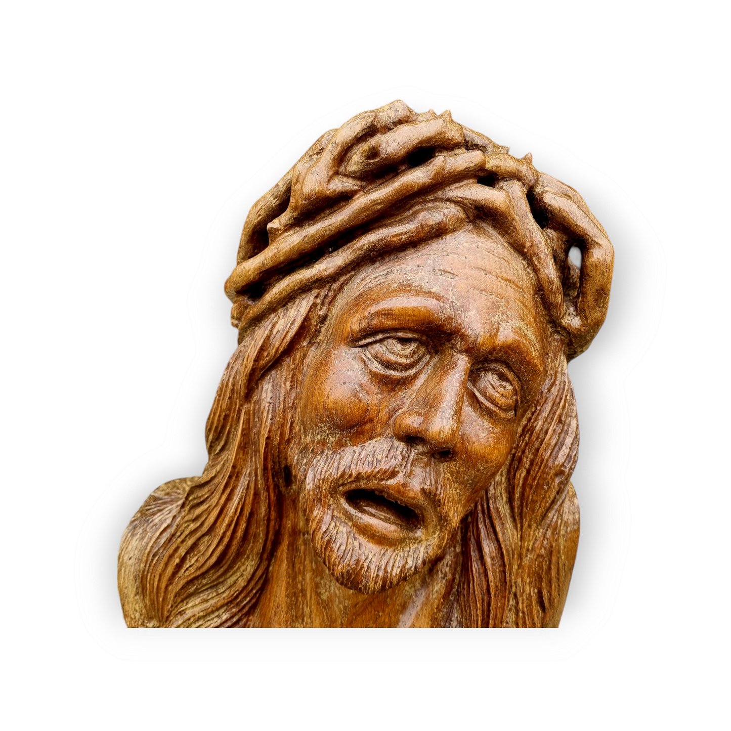15th Century Flemish Carved Wooden Head of Christ – Life-size Sculpture with Crown of Thorns