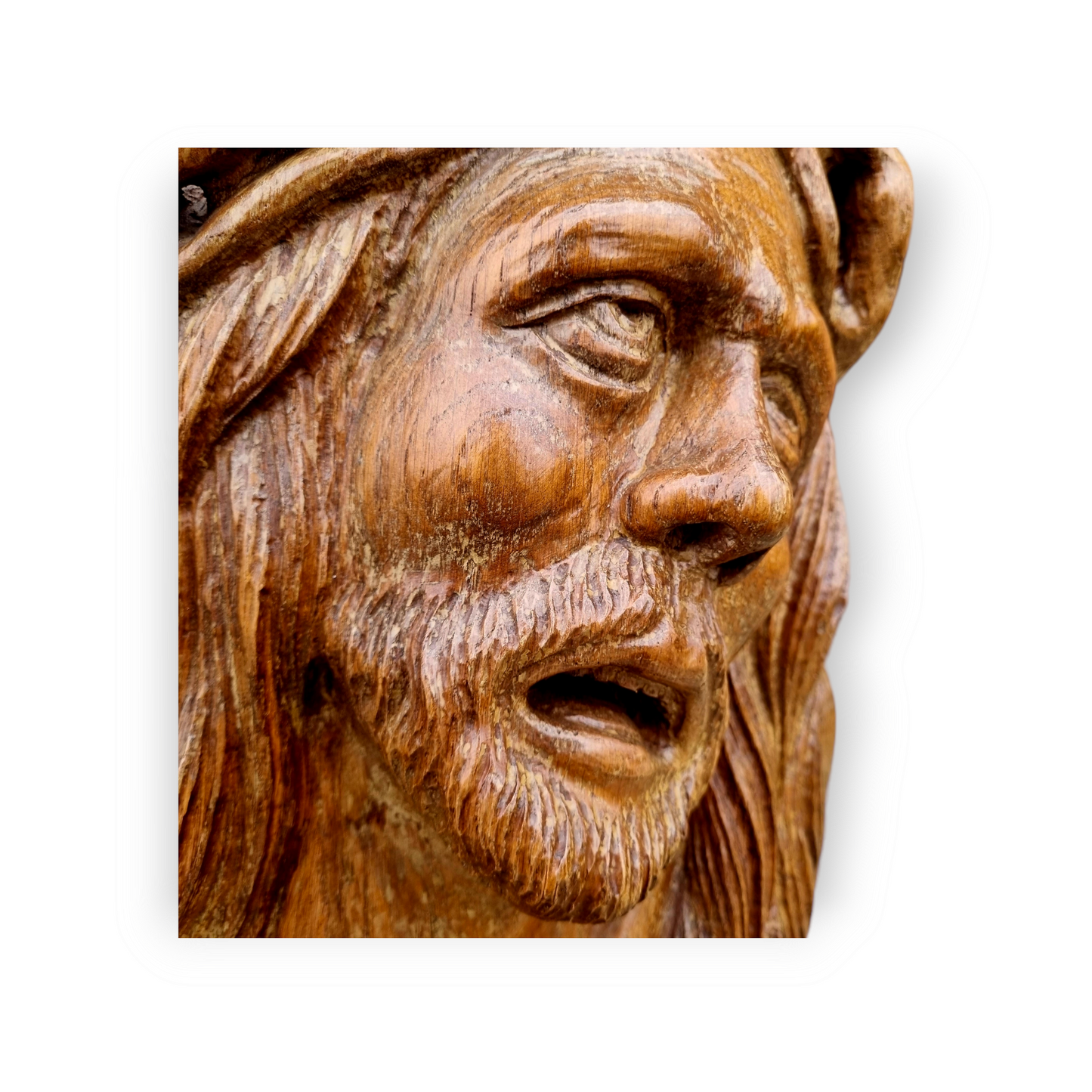 15th Century Flemish Carved Wooden Head of Christ – Life-size Sculpture with Crown of Thorns