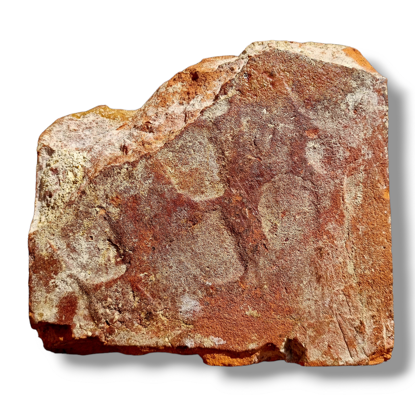 14thC / Medieval Antique Encaustic Floor Tile