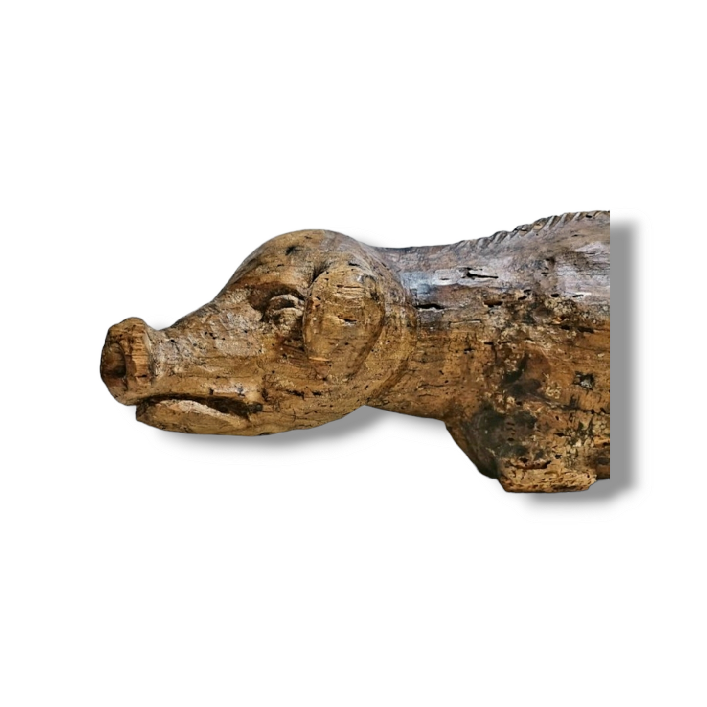 15thC Antique Carved Oak Sculpture Of A Pig, Circa 1480-1500