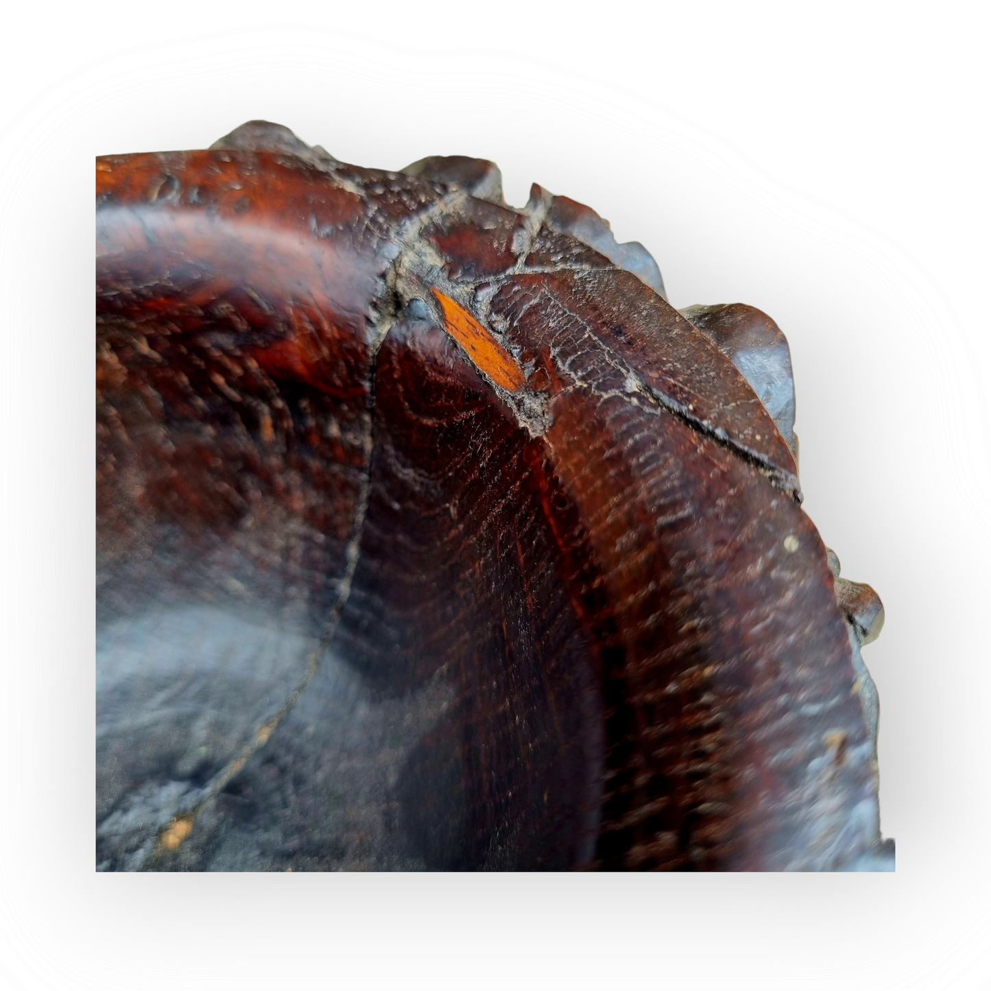 Large 18th Century English Antique Treen Master Salt