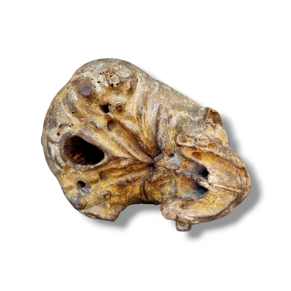 Large Mid-17th Century Antique Carved Treen / Carved Wood Memento-Mori in the form of a Skull
