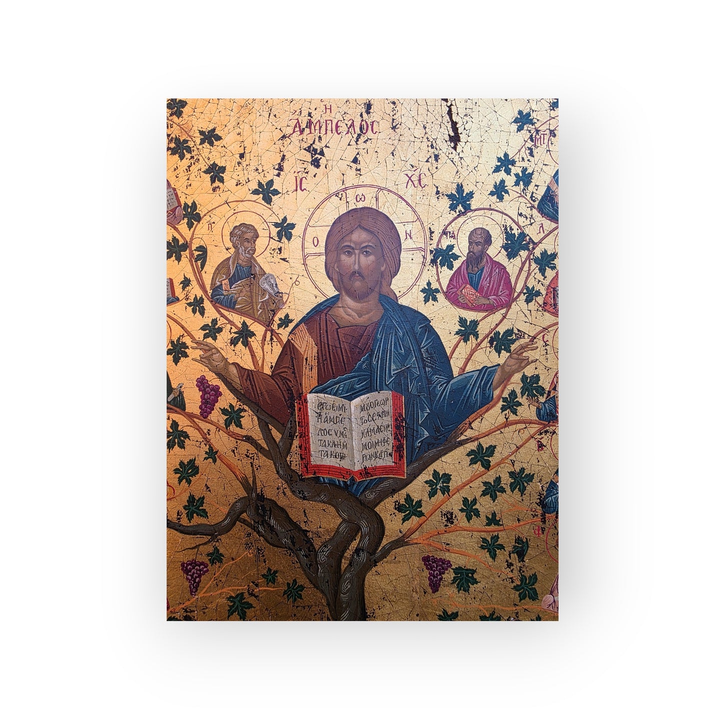 Early 19th Century Byzantine School Antique Icon - Christ the Vine