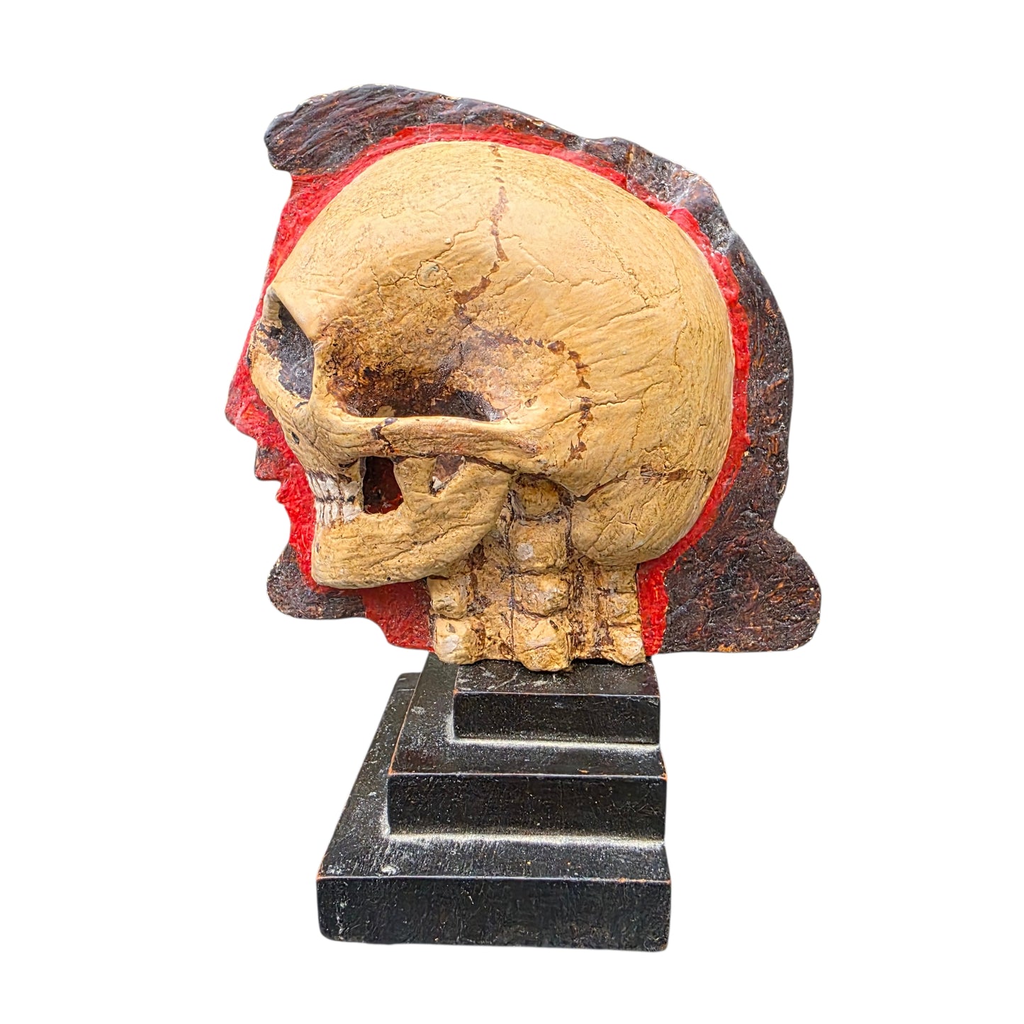 A Striking 18th Century Italian Antique Memento Mori Bust – Life & Death Duality Wooden Carved Sculpture on an Ebonised Plinth