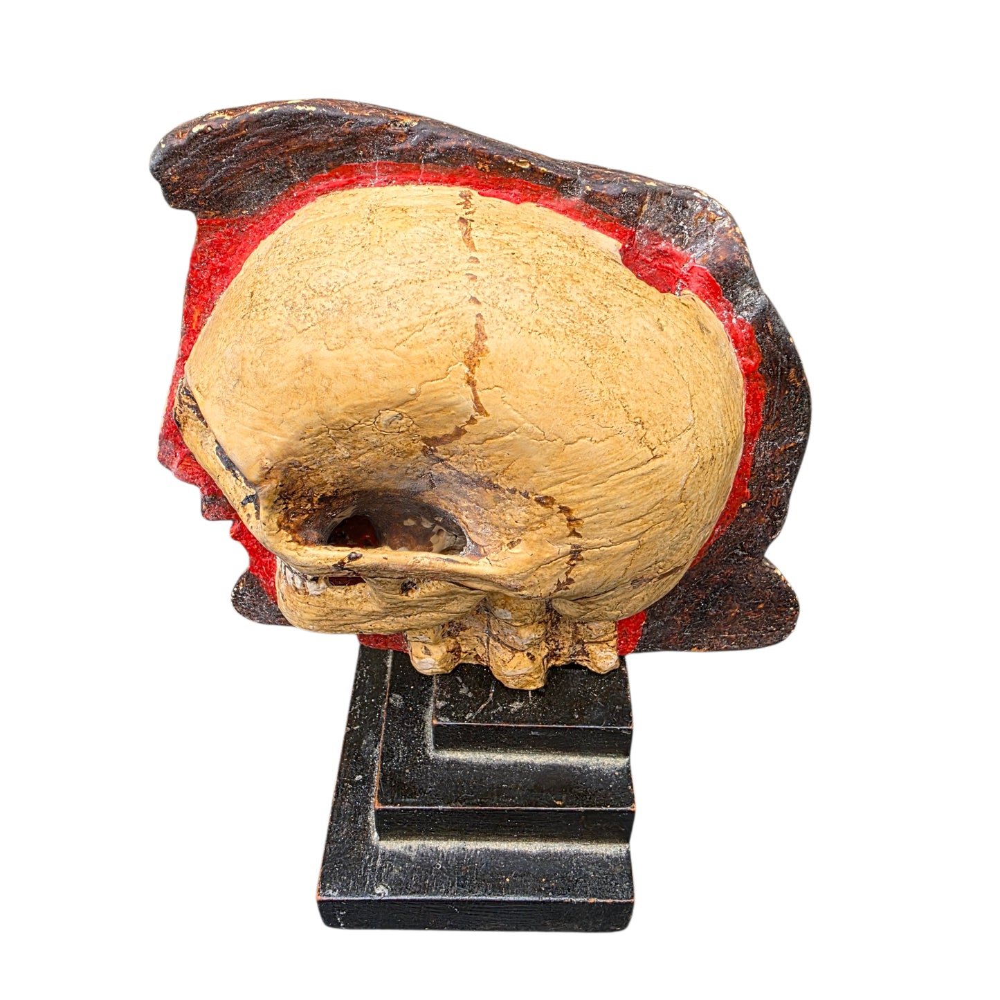 A Striking 18th Century Italian Antique Memento Mori Bust – Life & Death Duality Wooden Carved Sculpture on an Ebonised Plinth