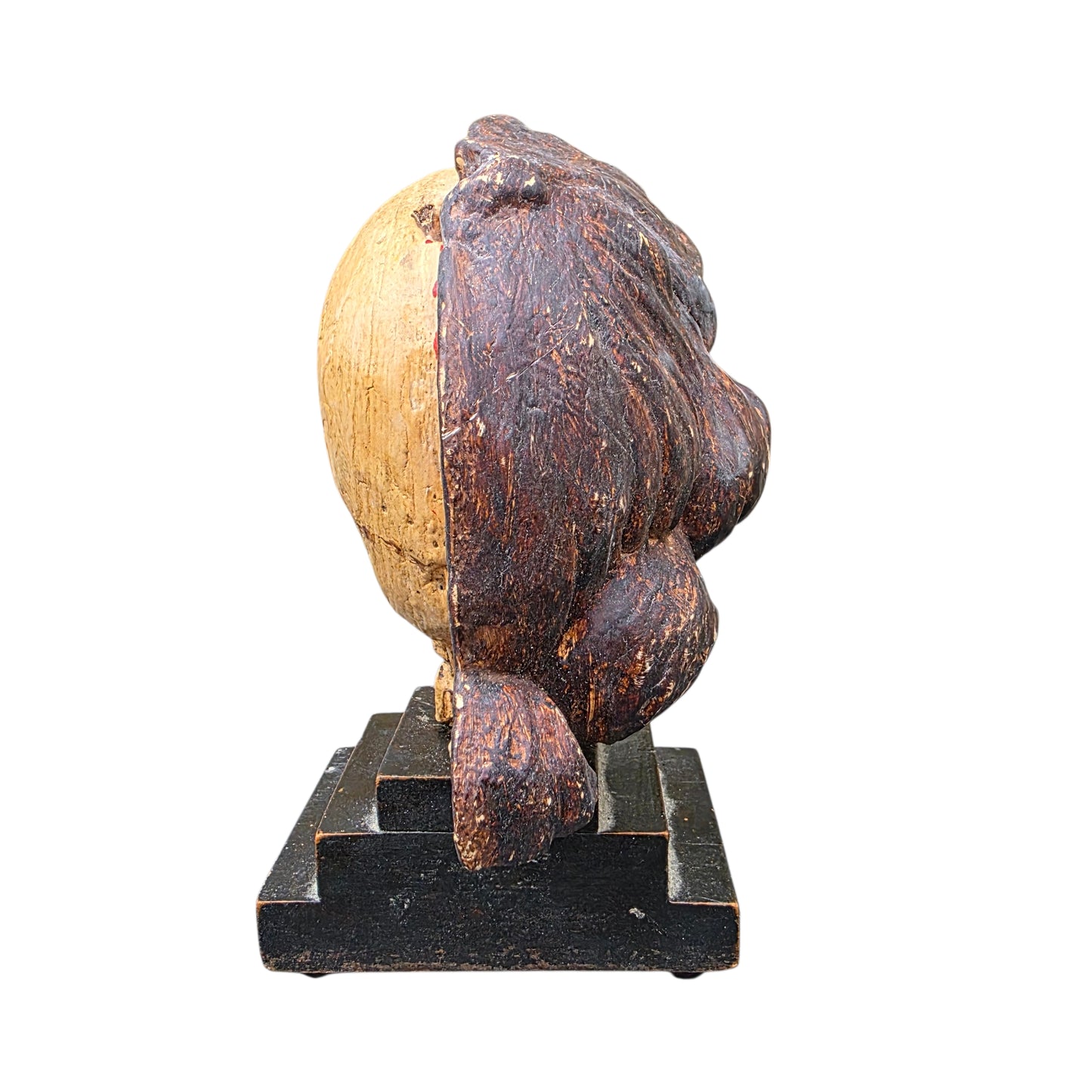 A Striking 18th Century Italian Antique Memento Mori Bust – Life & Death Duality Wooden Carved Sculpture on an Ebonised Plinth