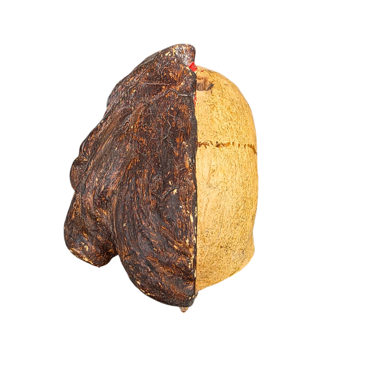 A Striking 18th Century Italian Antique Memento Mori Bust – Life & Death Duality Wooden Carved Sculpture on an Ebonised Plinth