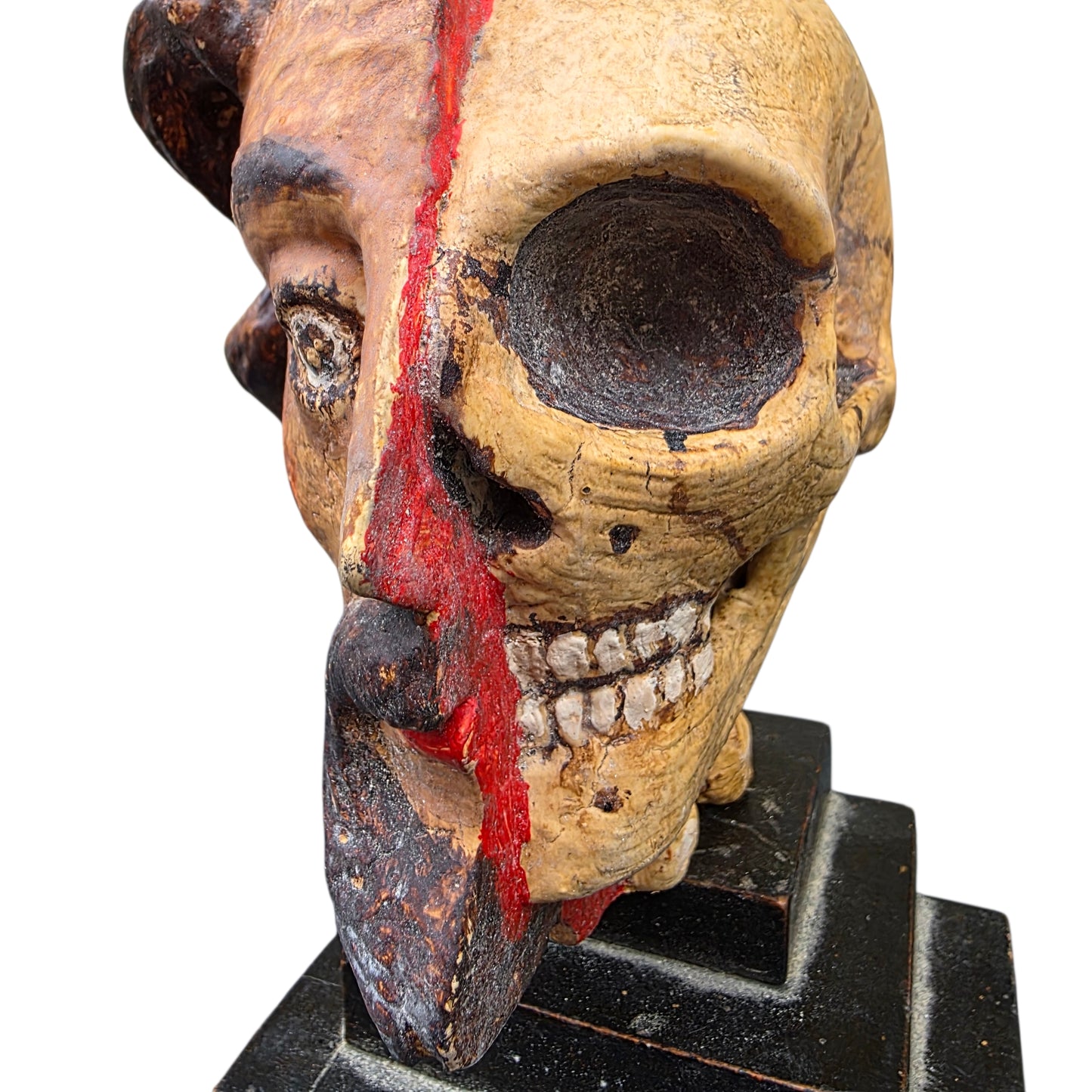 A Striking 18th Century Italian Antique Memento Mori Bust – Life & Death Duality Wooden Carved Sculpture on an Ebonised Plinth