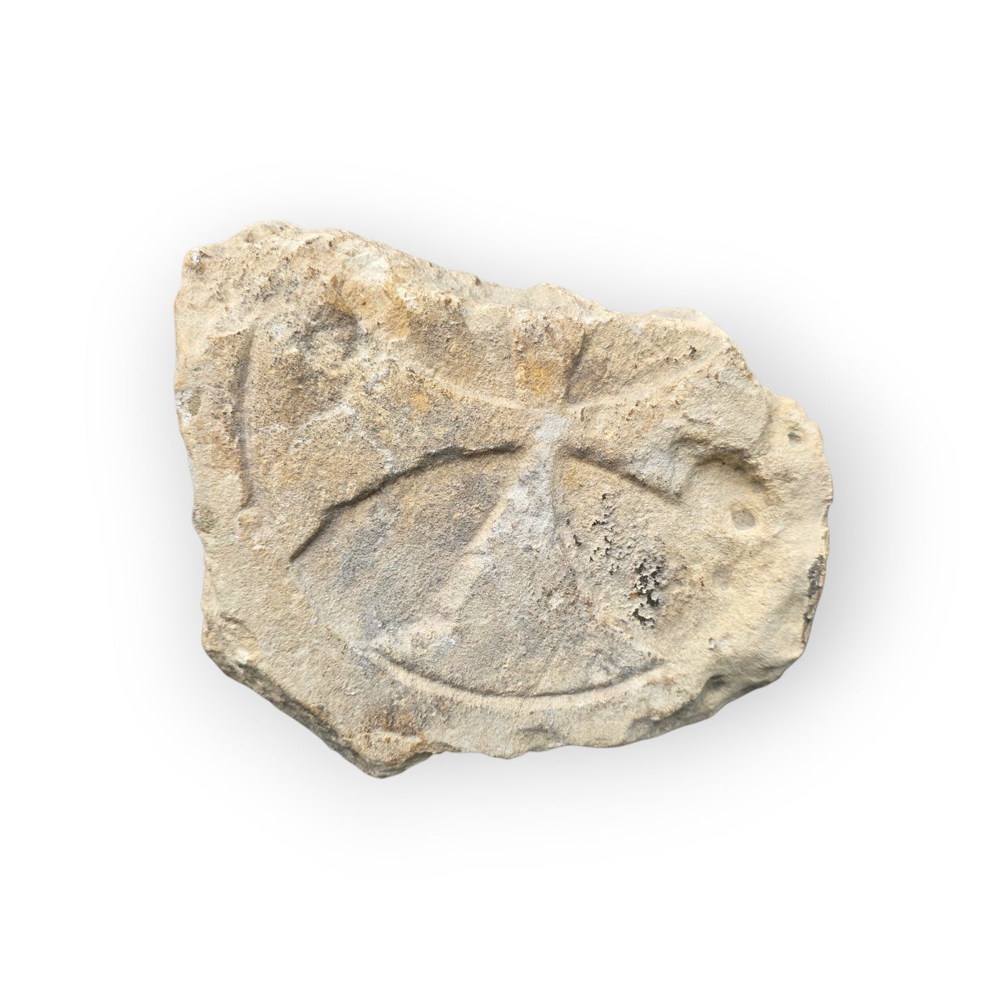 Rare 12th-14th Century Medieval Antique Consecration Stone Fragment – Radial Cross Design