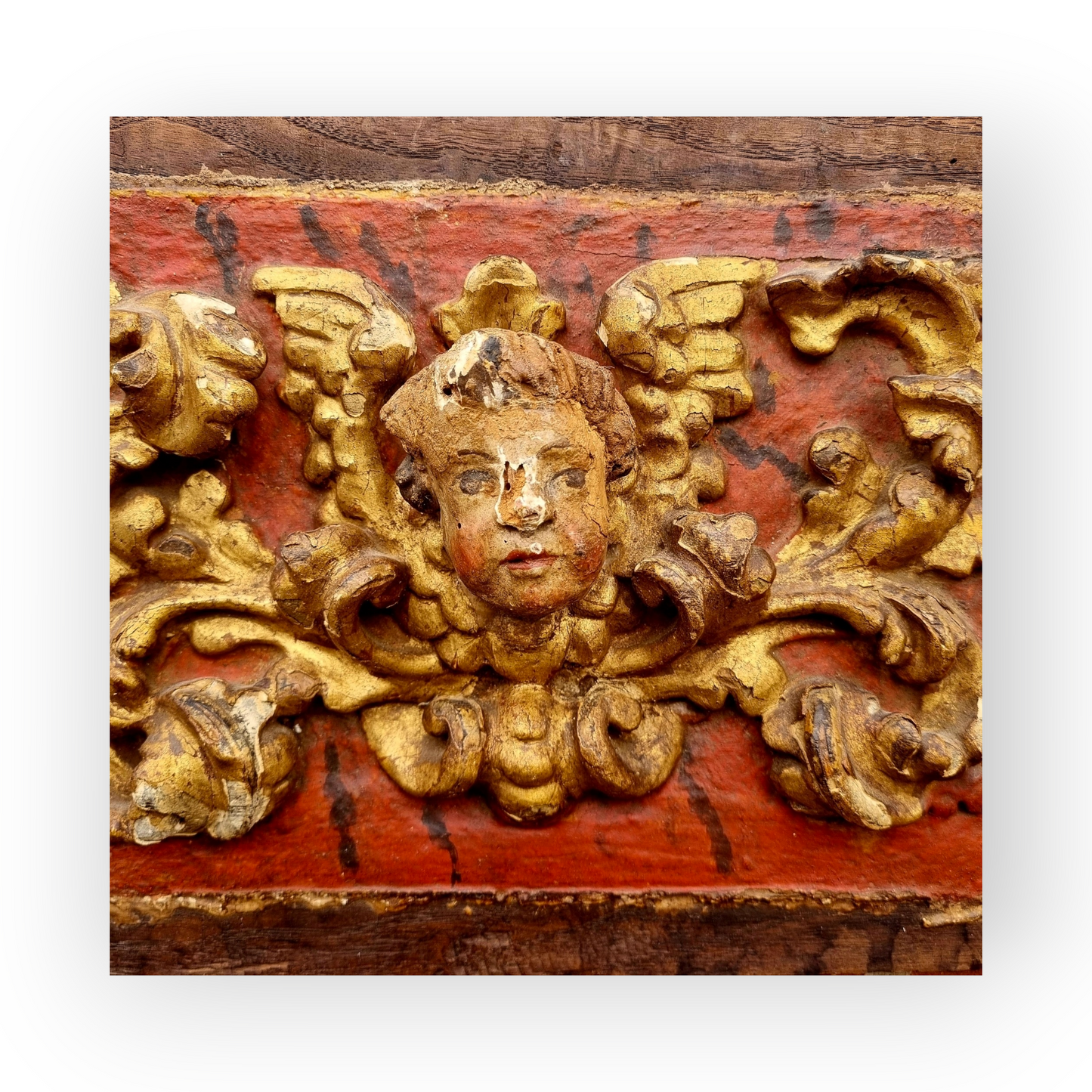 Late 17thC Baroque Period Antique Carved Wood Panel Depicting a Winged Angel Flanked by Scrolling Foliage