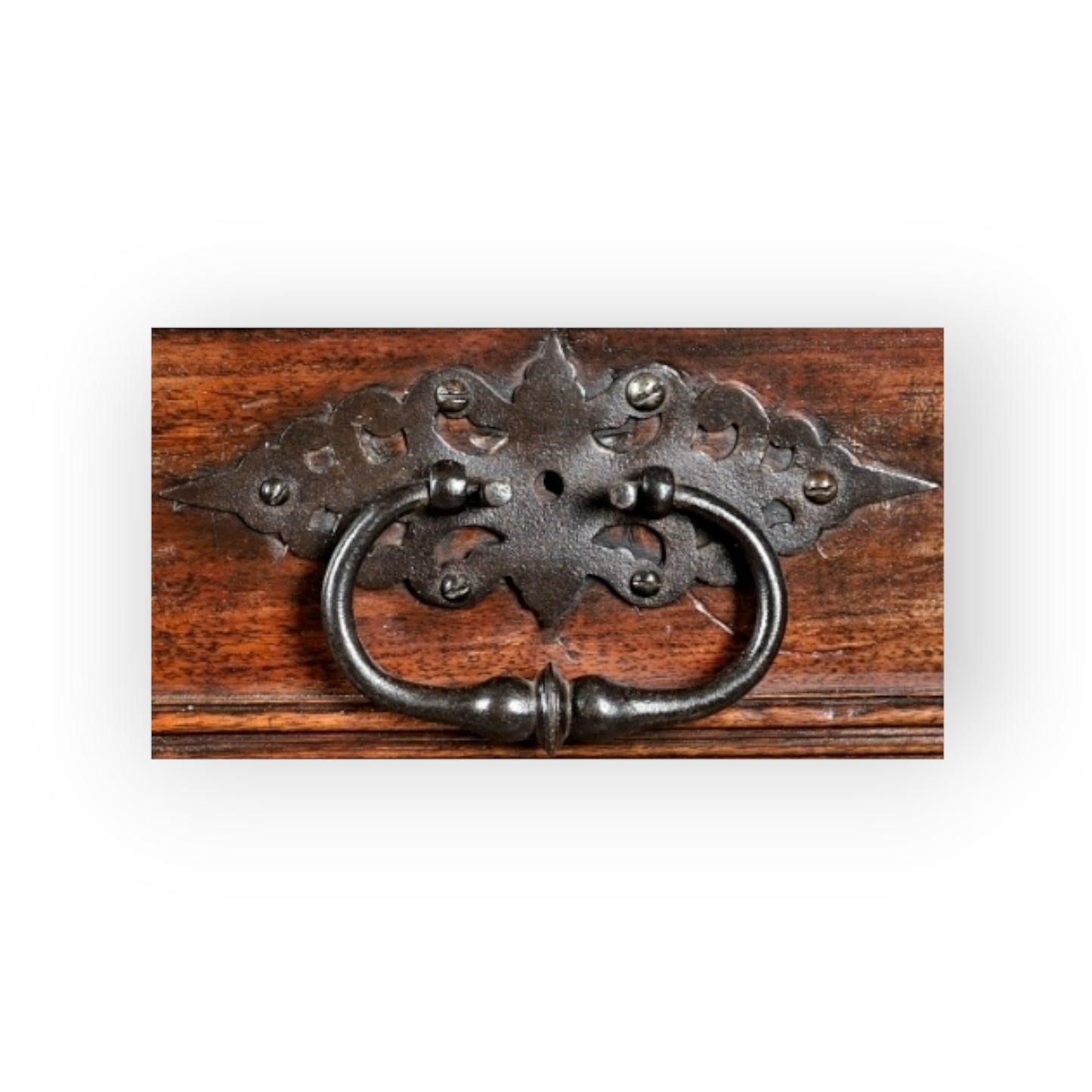 Early 18th-Century Antique Olivewood Collectors Cabinet On An Associated Stand