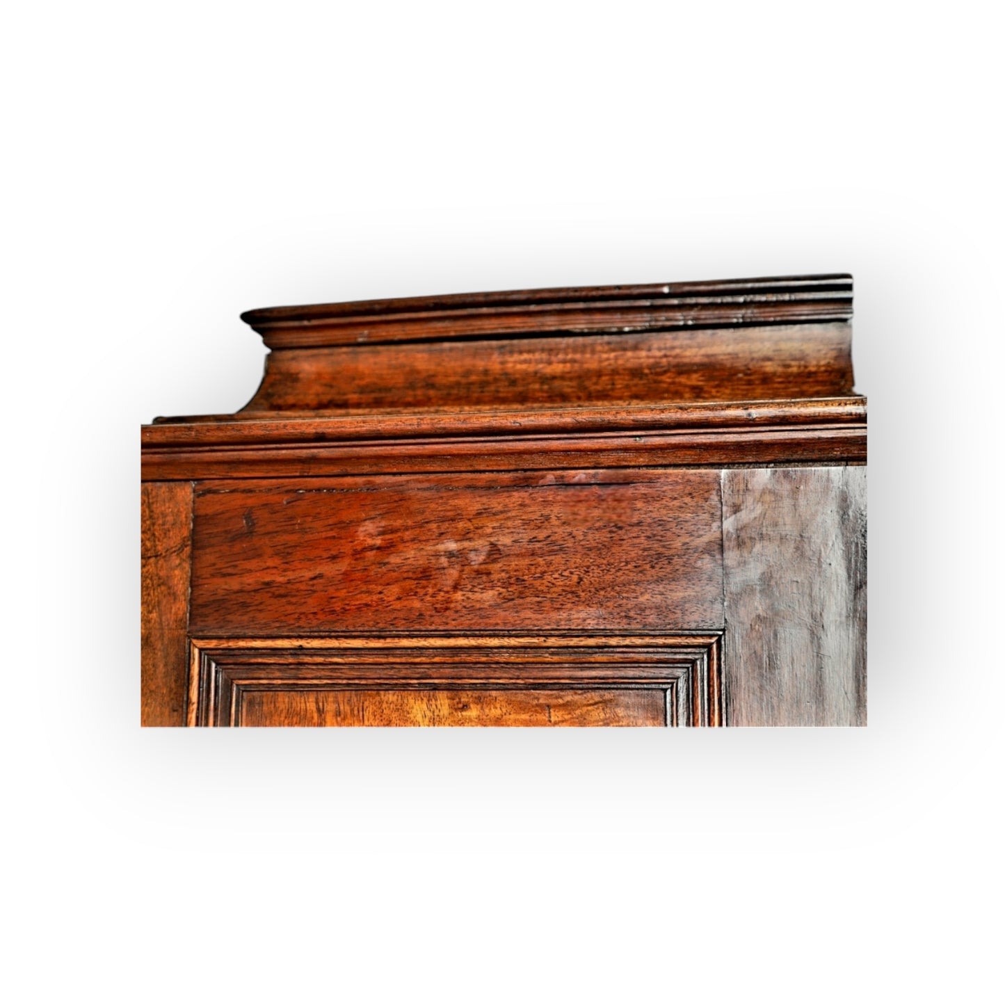 Early 18th-Century Antique Olivewood Collectors Cabinet On An Associated Stand