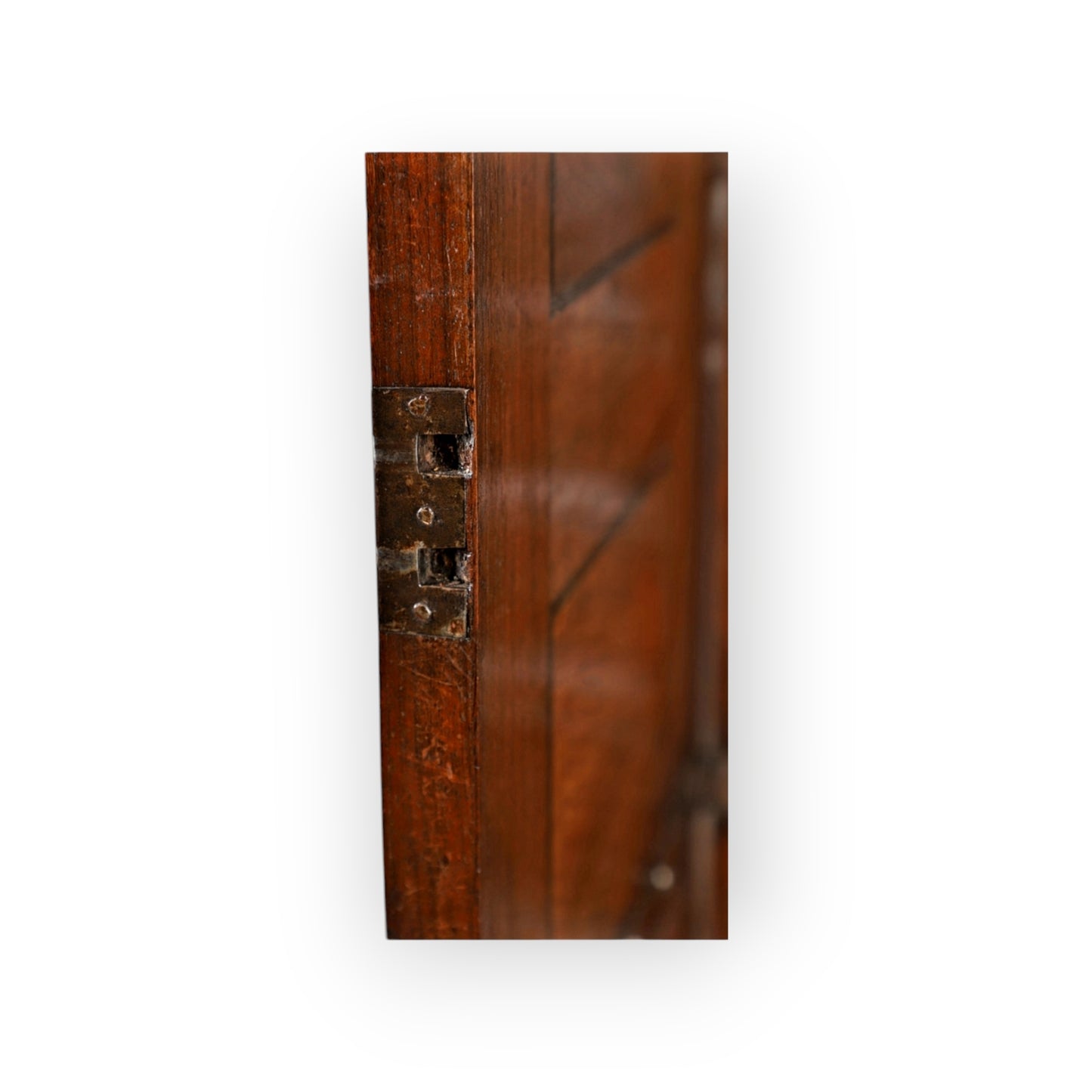 Early 18th-Century Antique Olivewood Collectors Cabinet On An Associated Stand