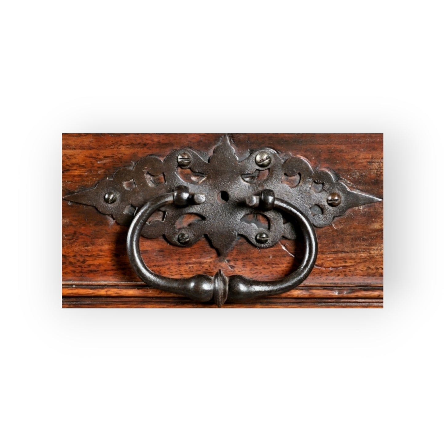 Early 18th-Century Antique Olivewood Collectors Cabinet On An Associated Stand