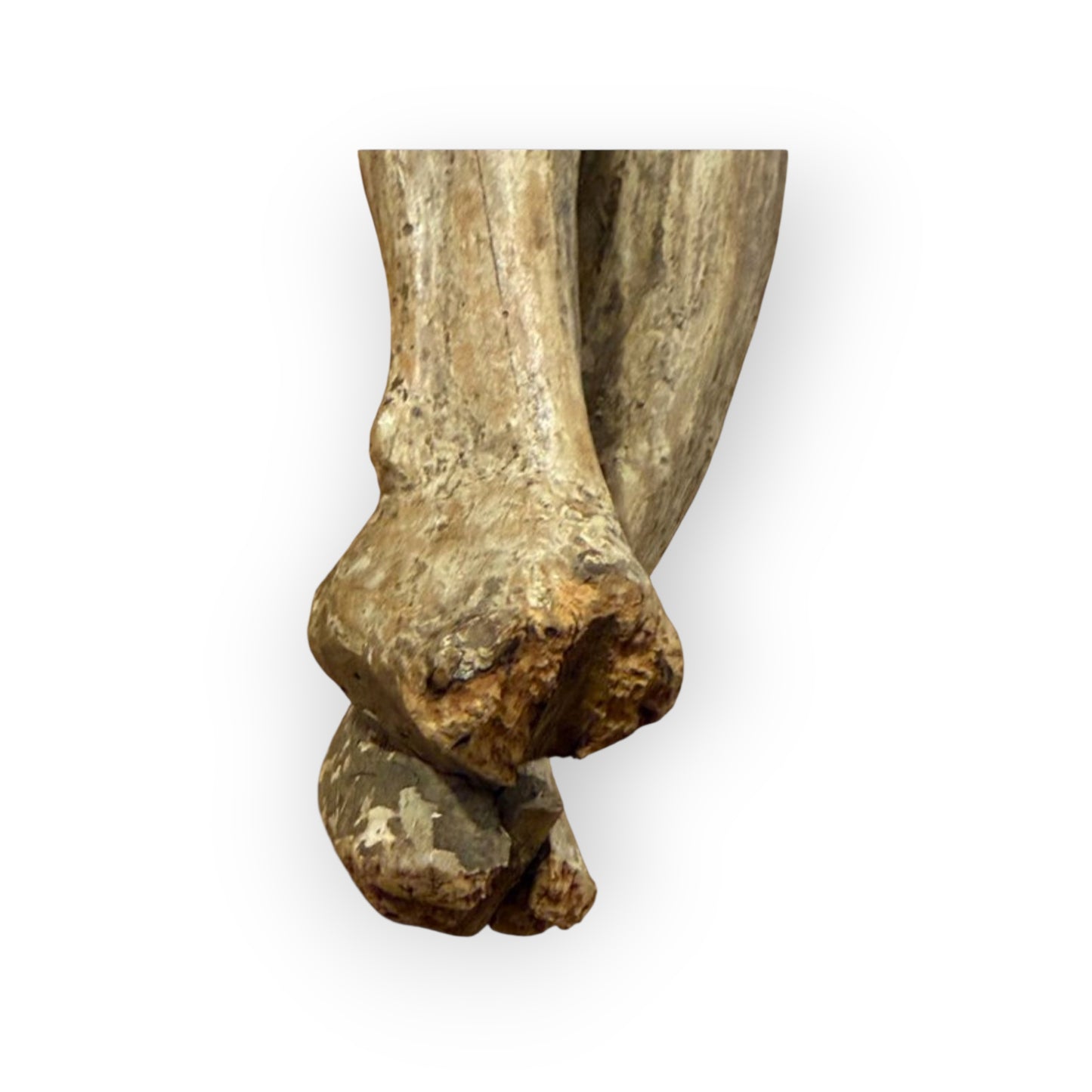 Large Late 15th-Century Antique Carved Limewood Sculpture - Corpus Christi