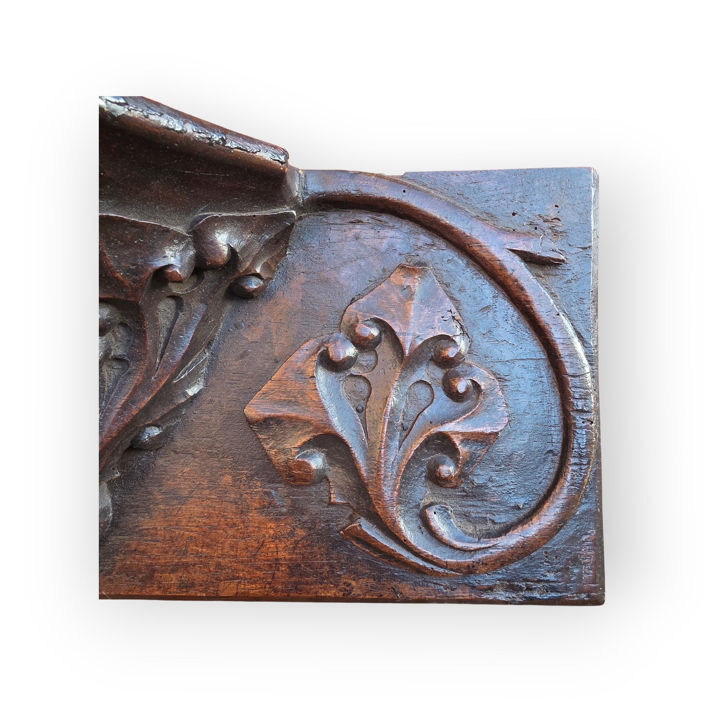 Rare Mid-15th Century English Antique Carved Oak Misericord