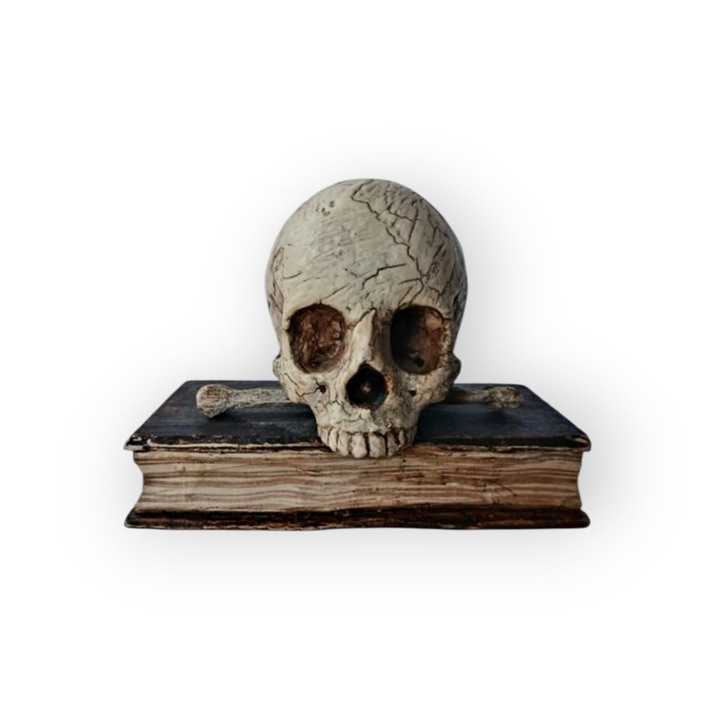 Mid-18th-Century Italian Antique Carved Treen Memento Mori – Skull, Bones & Book – Original Polychromy – Rare Example