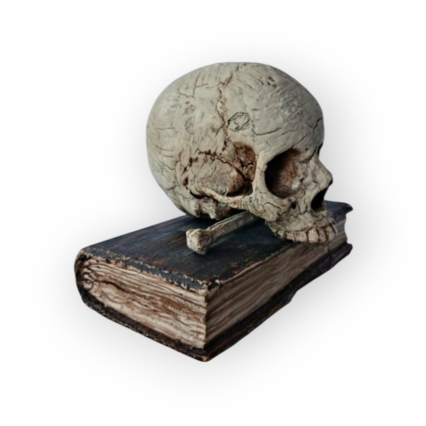Mid-18th-Century Italian Antique Carved Treen Memento Mori – Skull, Bones & Book – Original Polychromy – Rare Example
