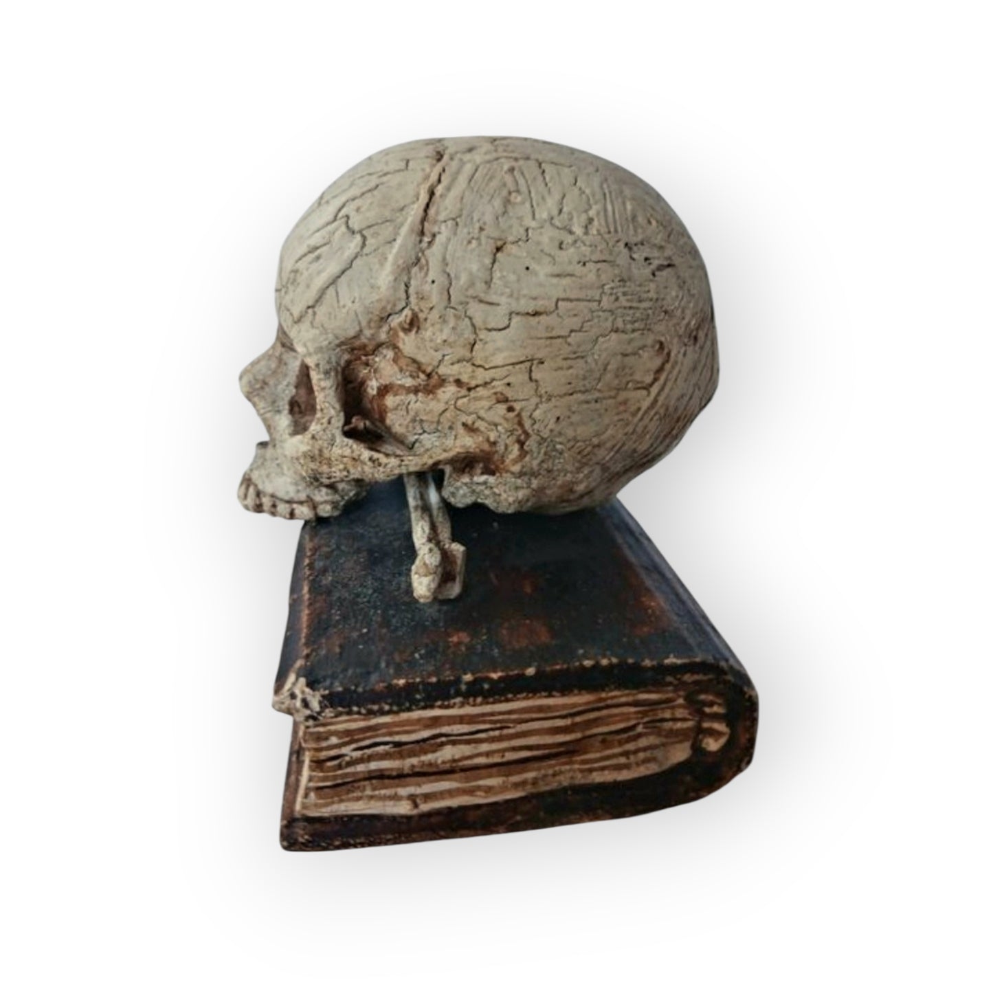Mid-18th-Century Italian Antique Carved Treen Memento Mori – Skull, Bones & Book – Original Polychromy – Rare Example