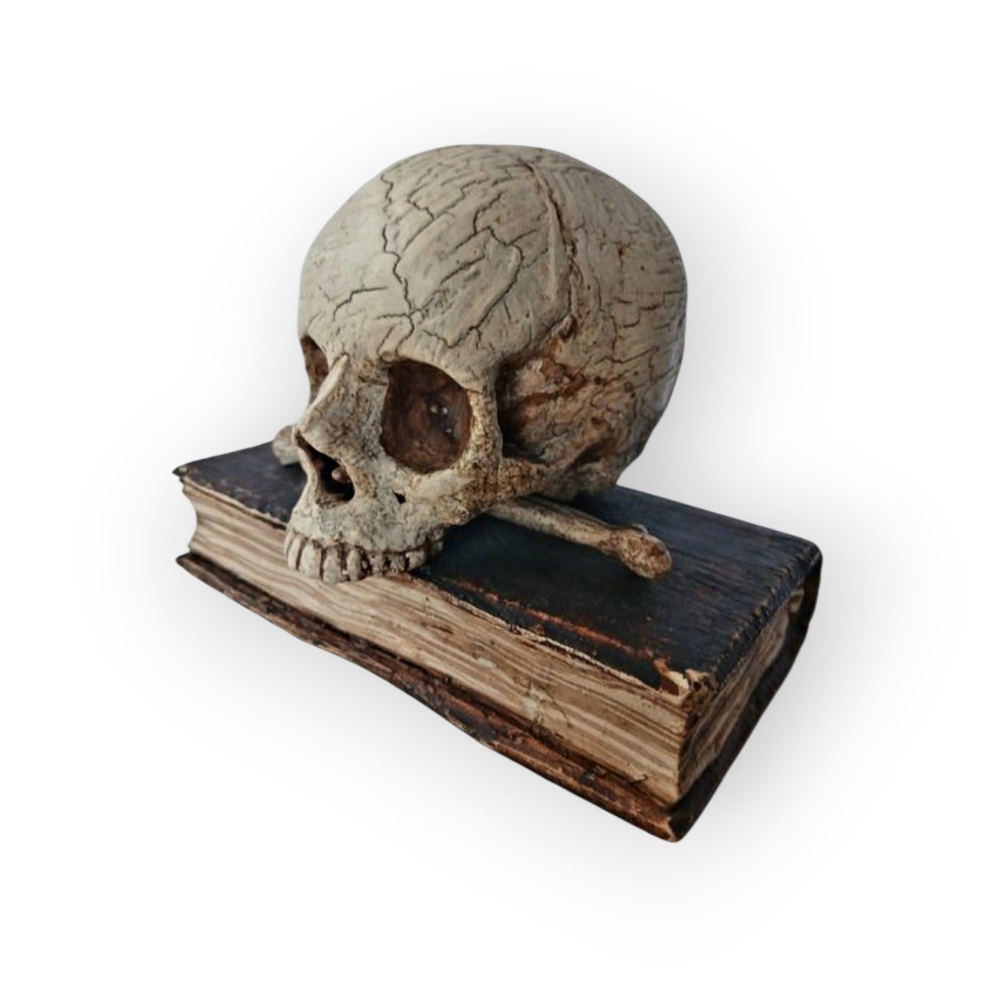 Mid-18th-Century Italian Antique Carved Treen Memento Mori – Skull, Bones & Book – Original Polychromy – Rare Example
