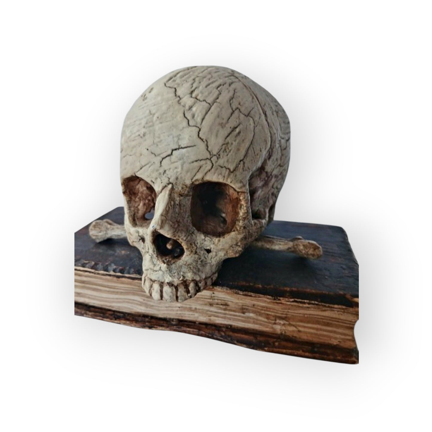 Mid-18th-Century Italian Antique Carved Treen Memento Mori – Skull, Bones & Book – Original Polychromy – Rare Example